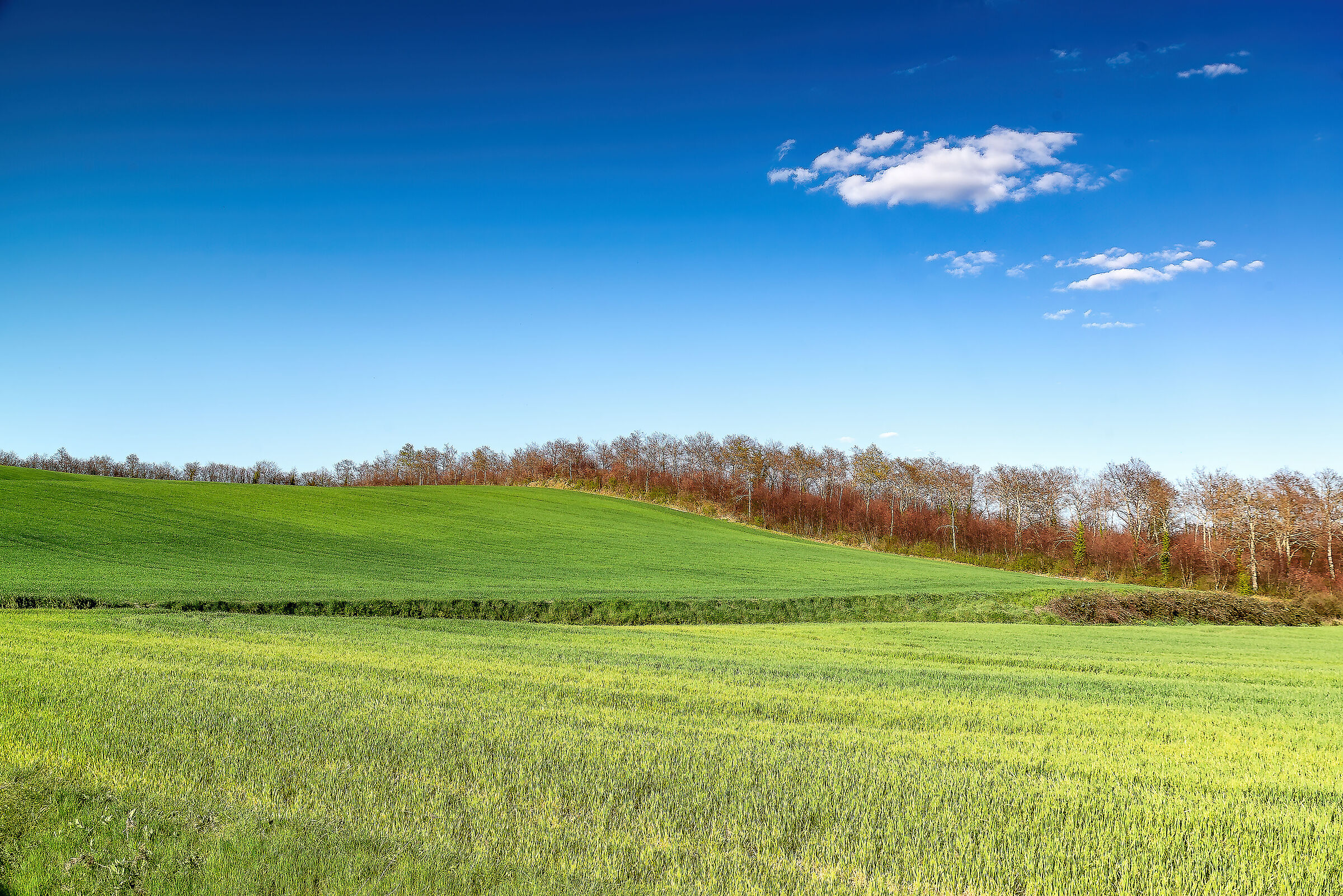 landscape between Umbria and Southern Valdichiana Tuscany