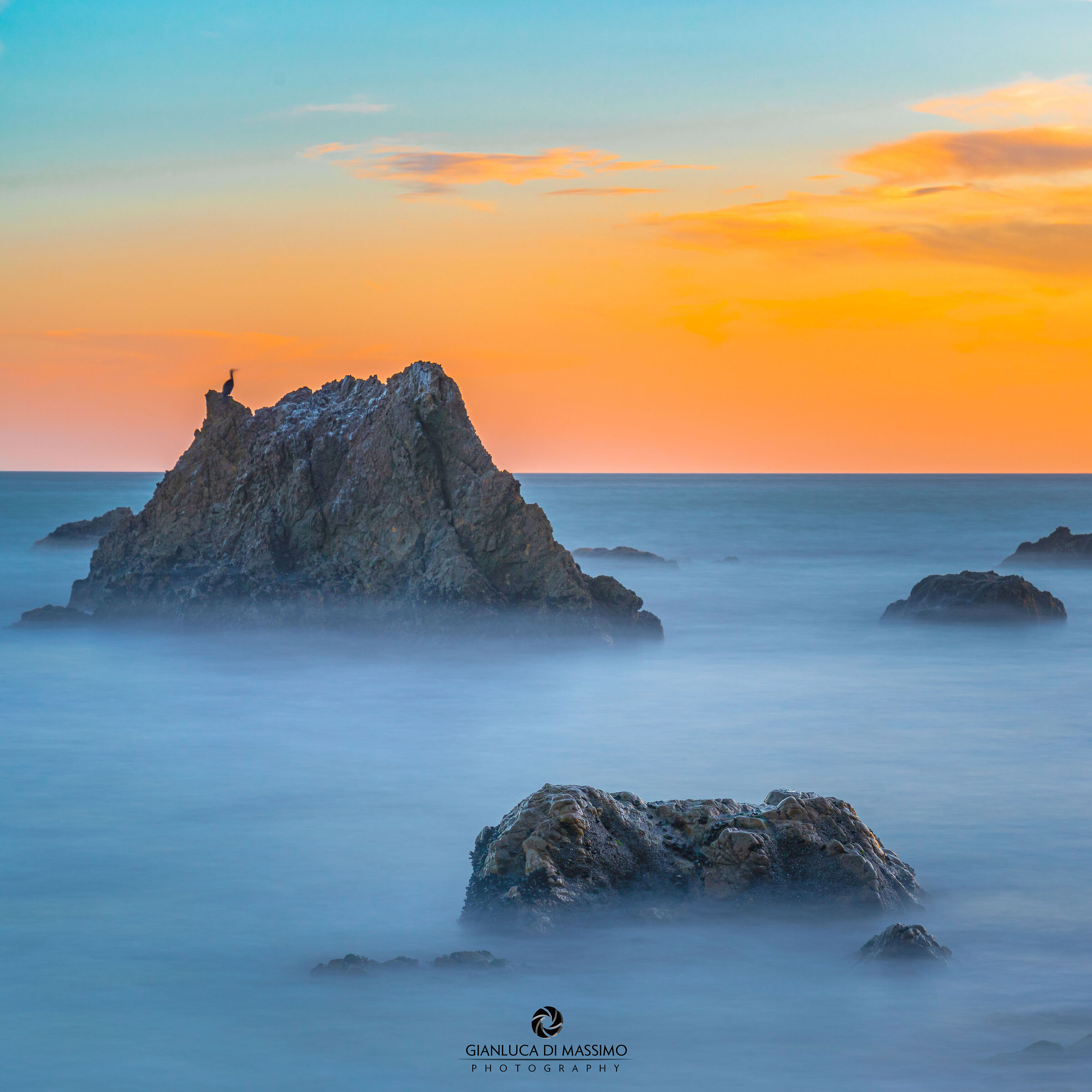 Malibu Bird On A Rock