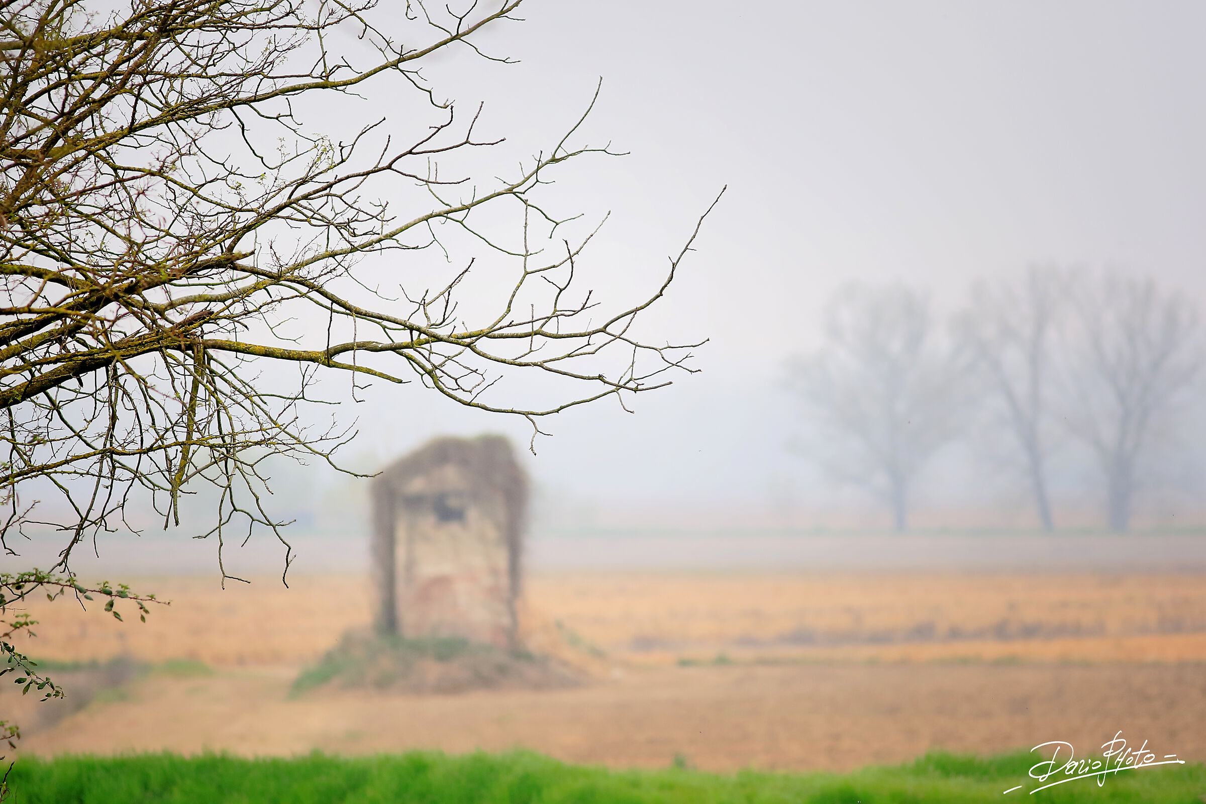 Panorama con nebbia