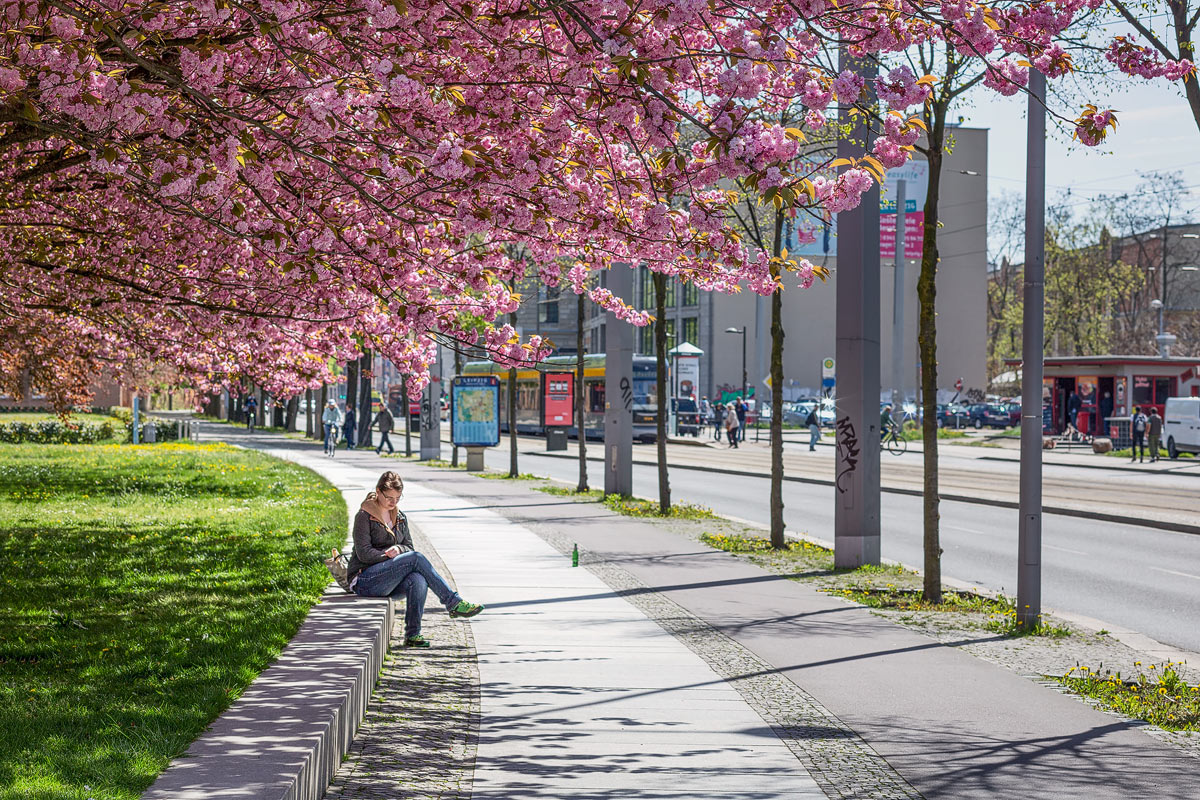 Pausa di mezzogiorno