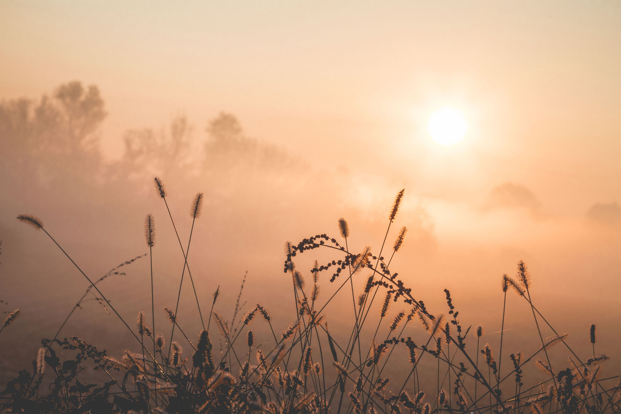 Awakening