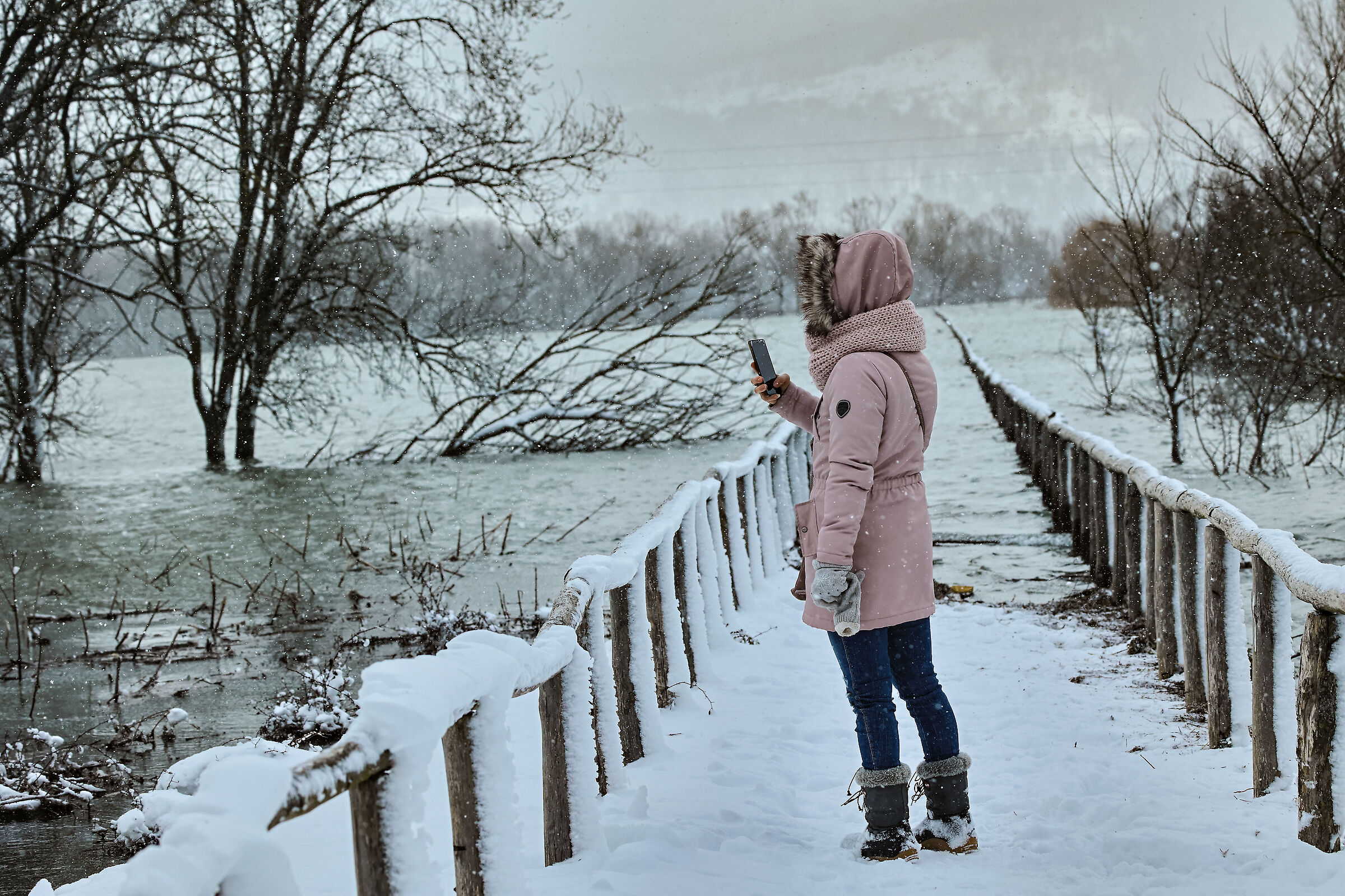 In cerca di qualcosa