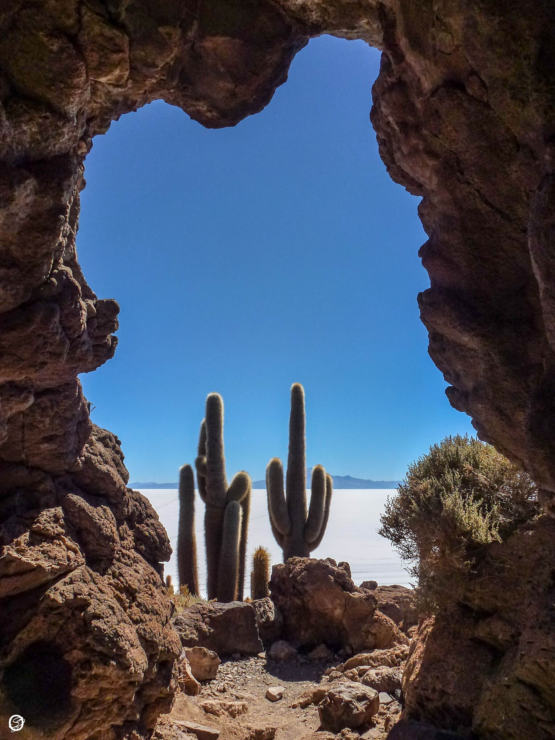La finestra sul salar