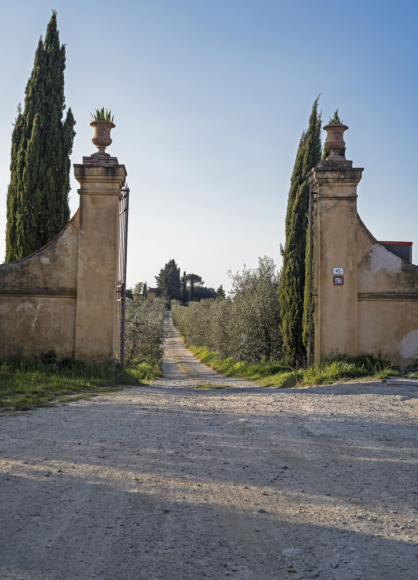 Entrata