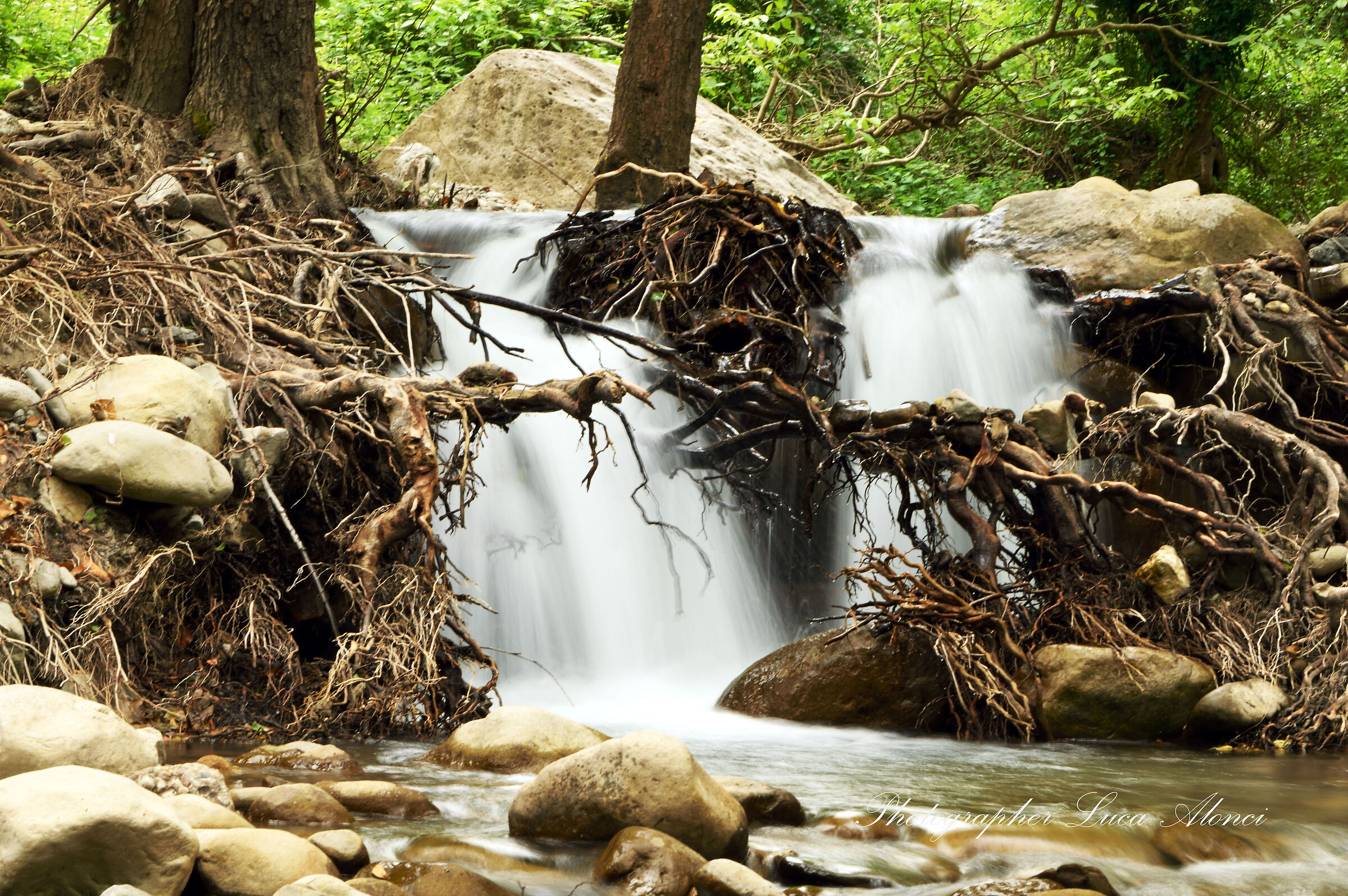 the claws of the waterfall