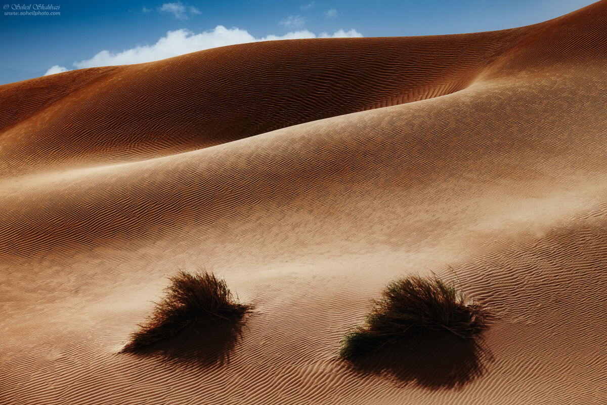Deserto di Maranjab