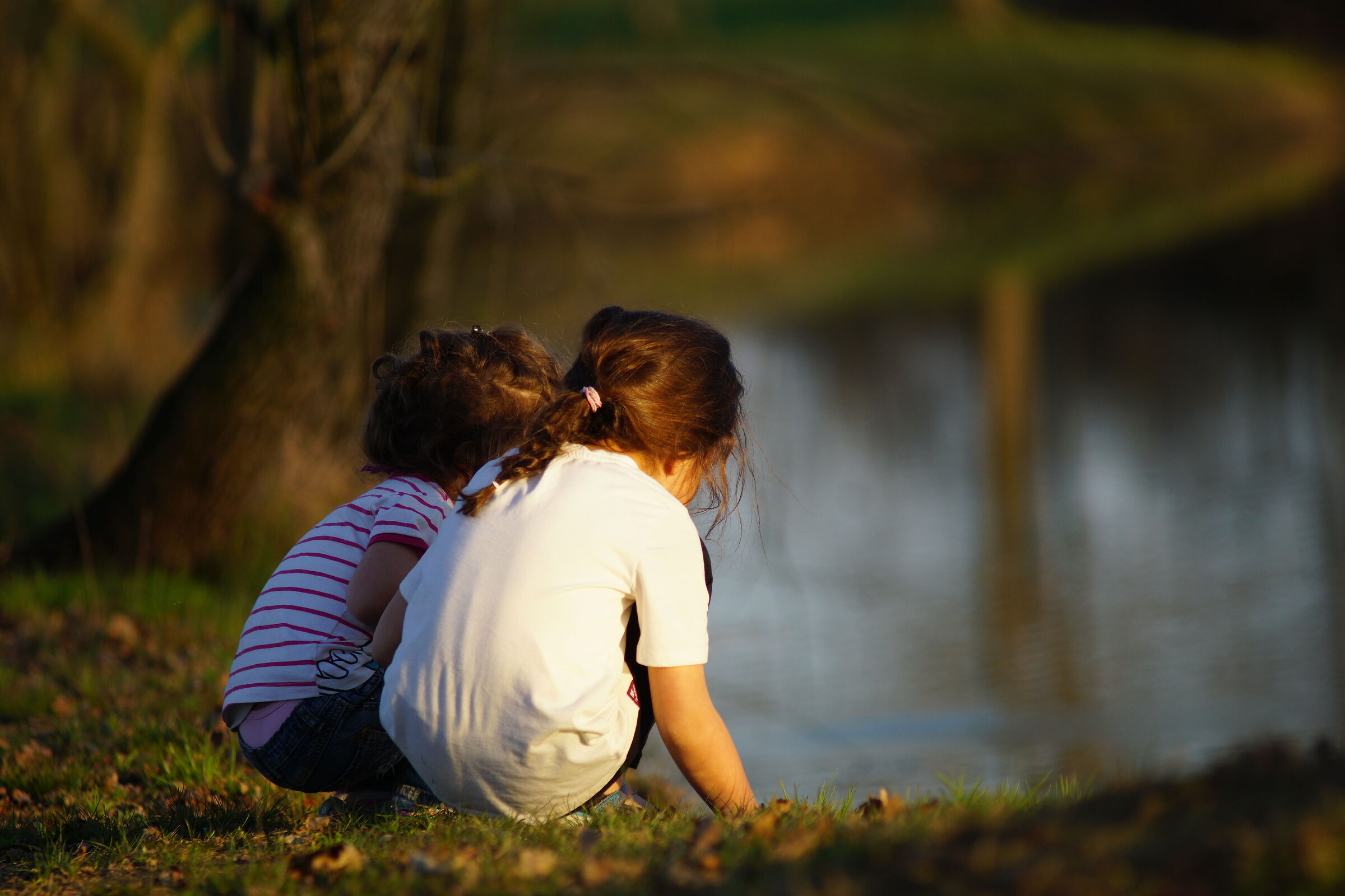 Giocando sulle rive dello stagno