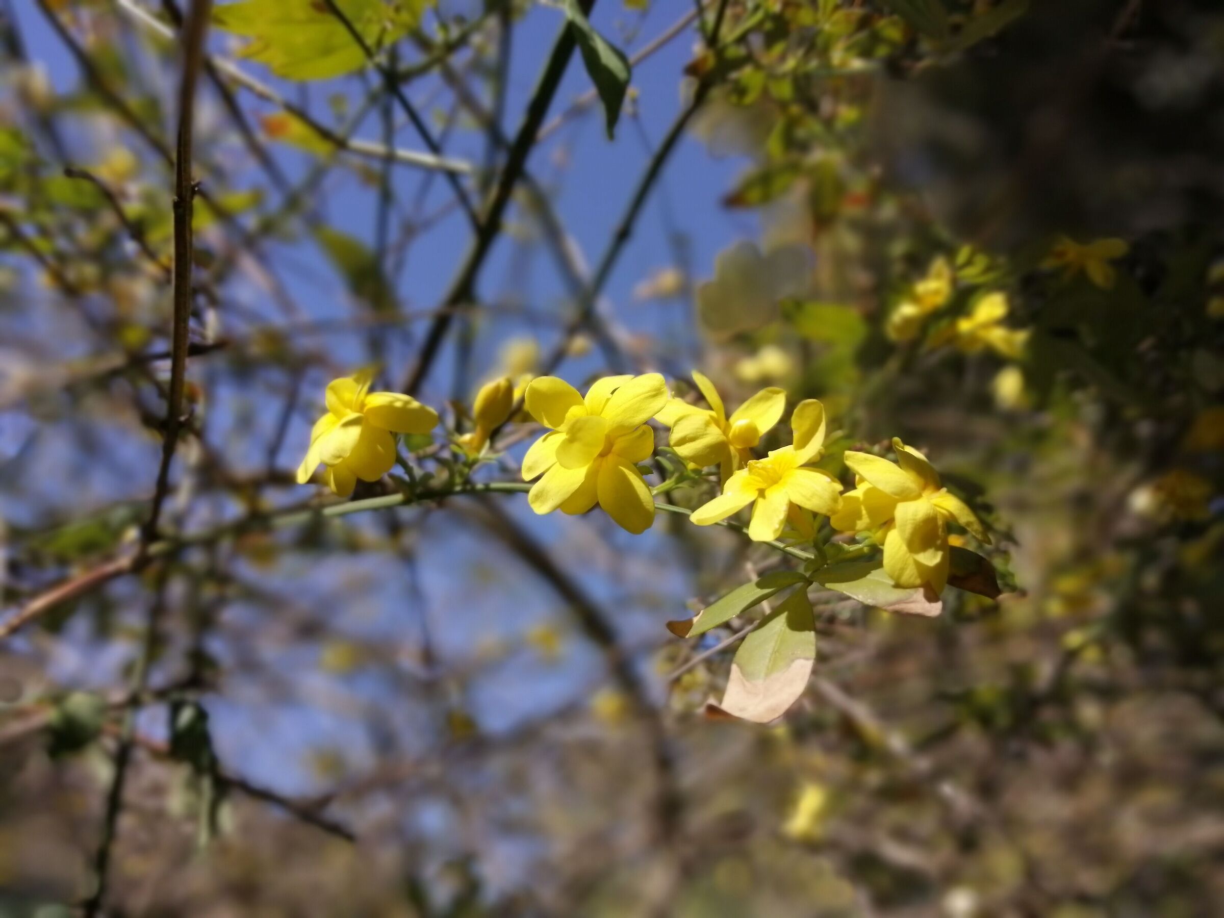 Al volo, col telefonino