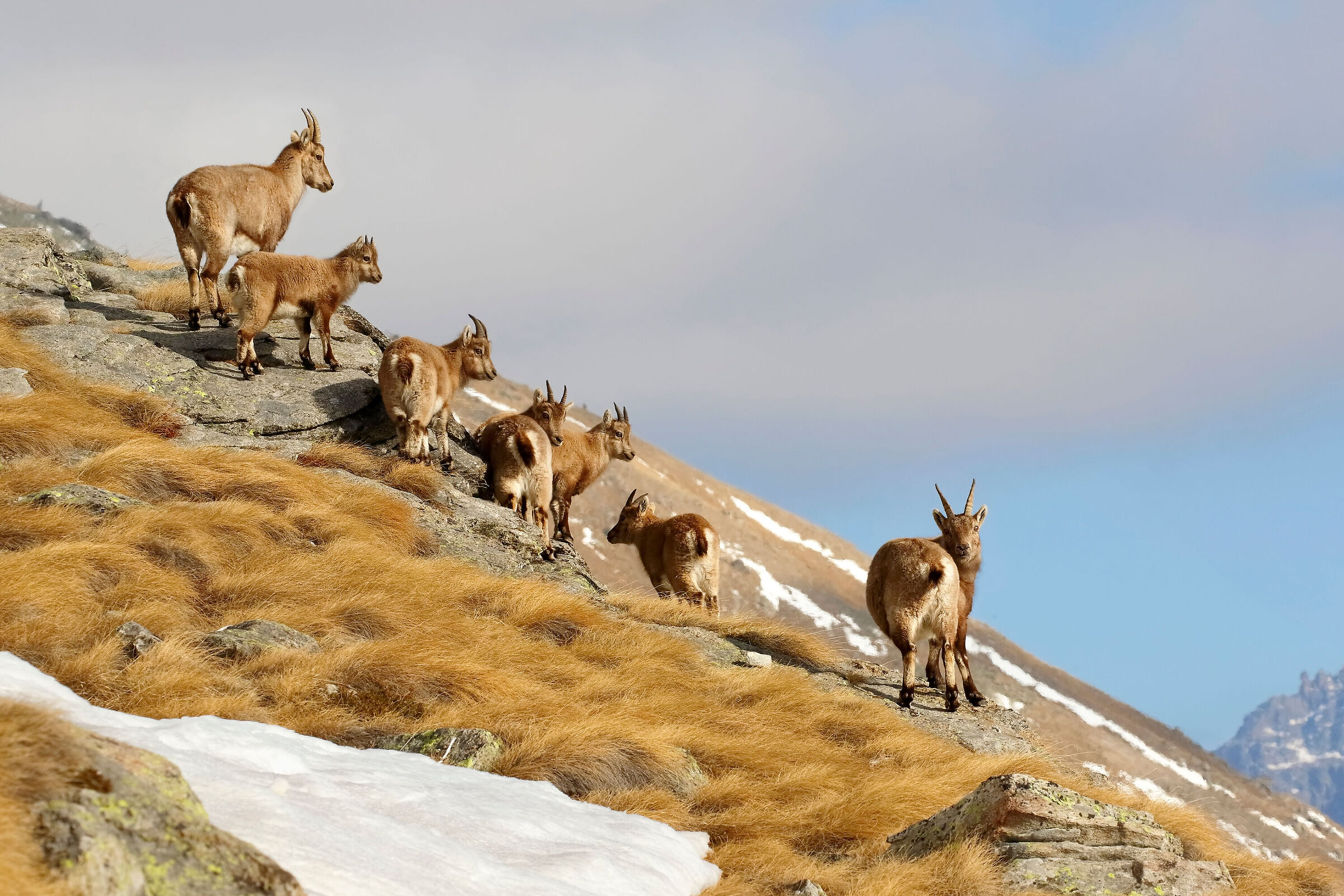 Mountain kindergarten