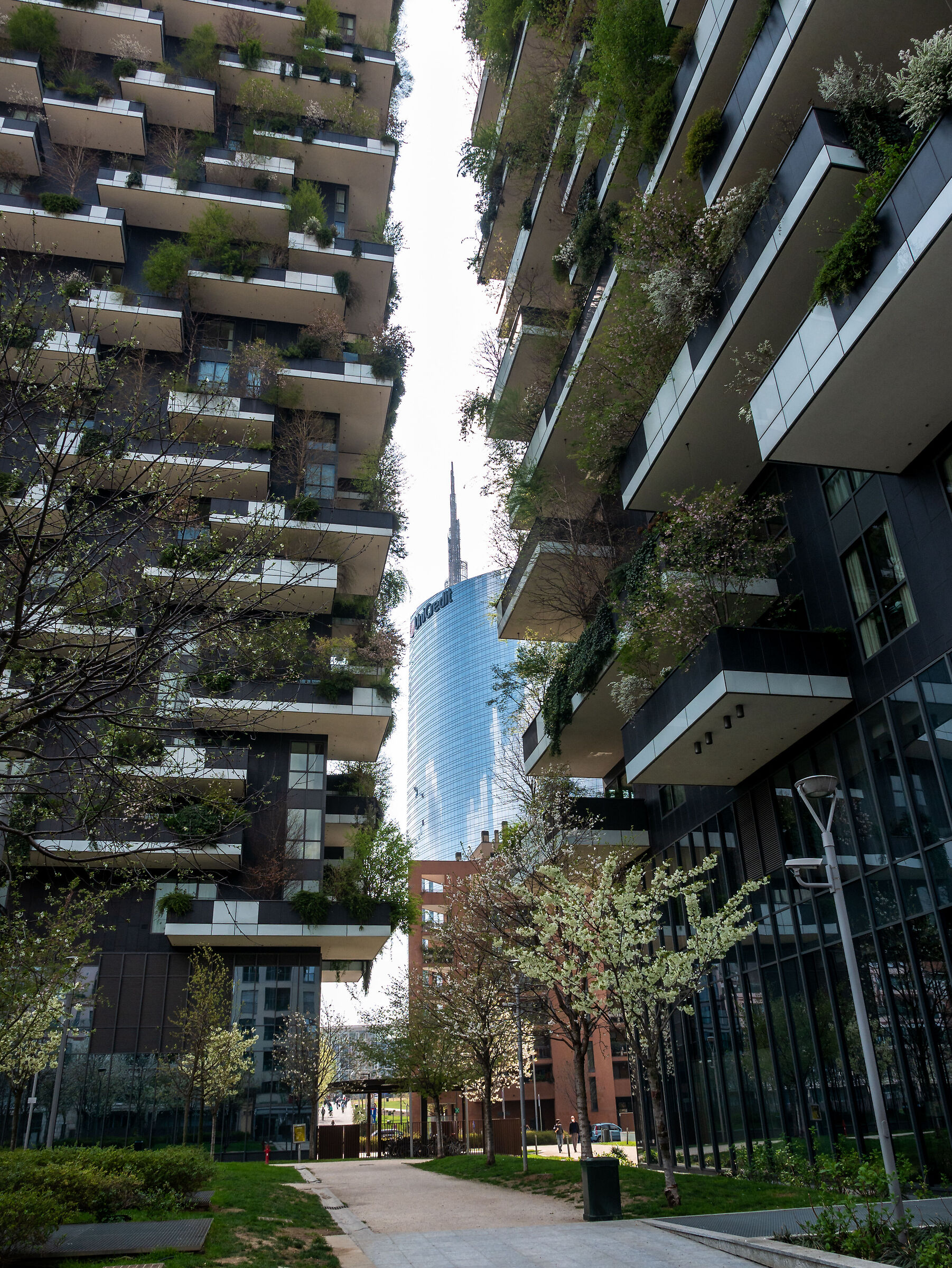 In the middle of the Vertical Forest