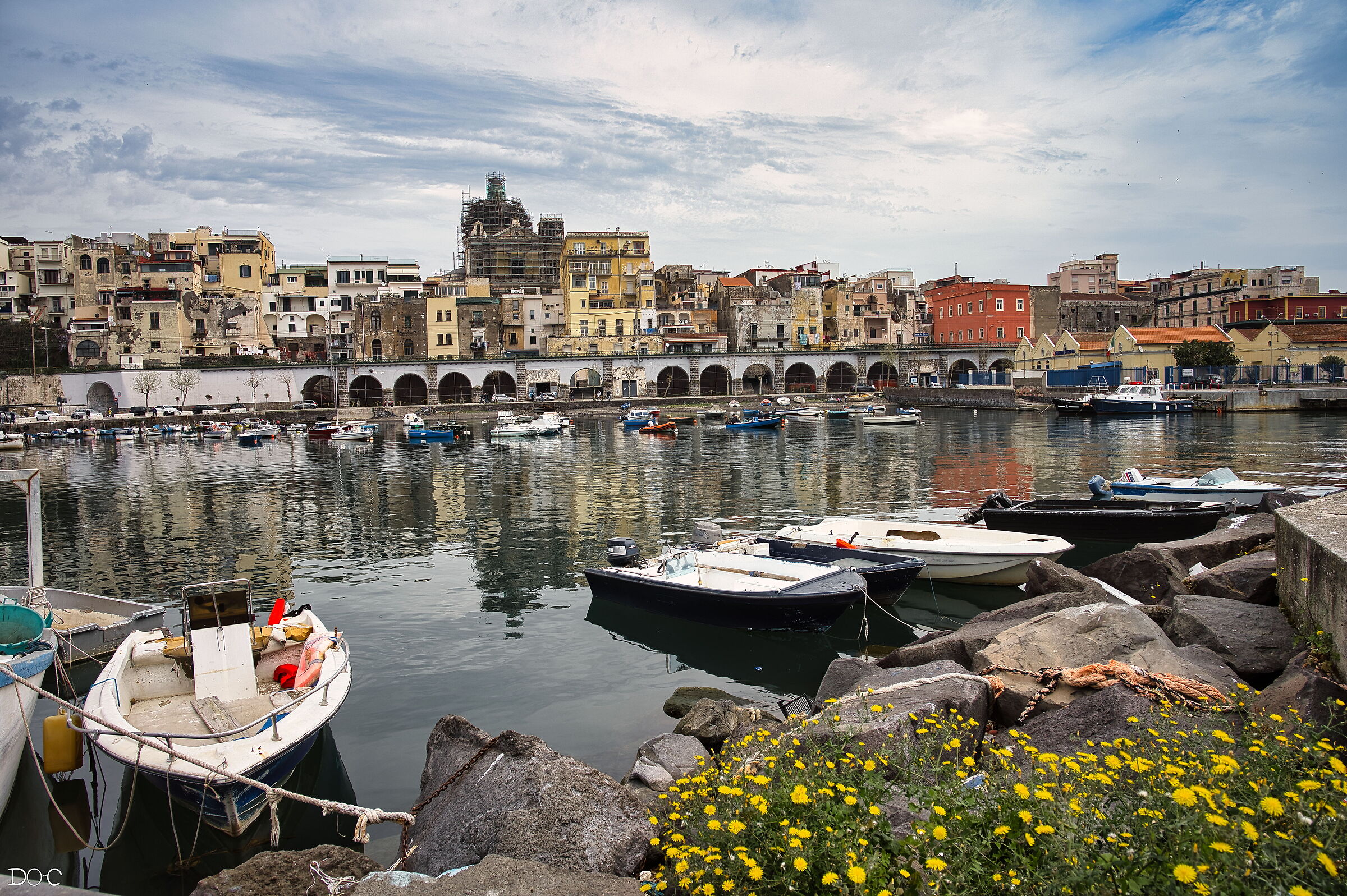 I fiori sul mare