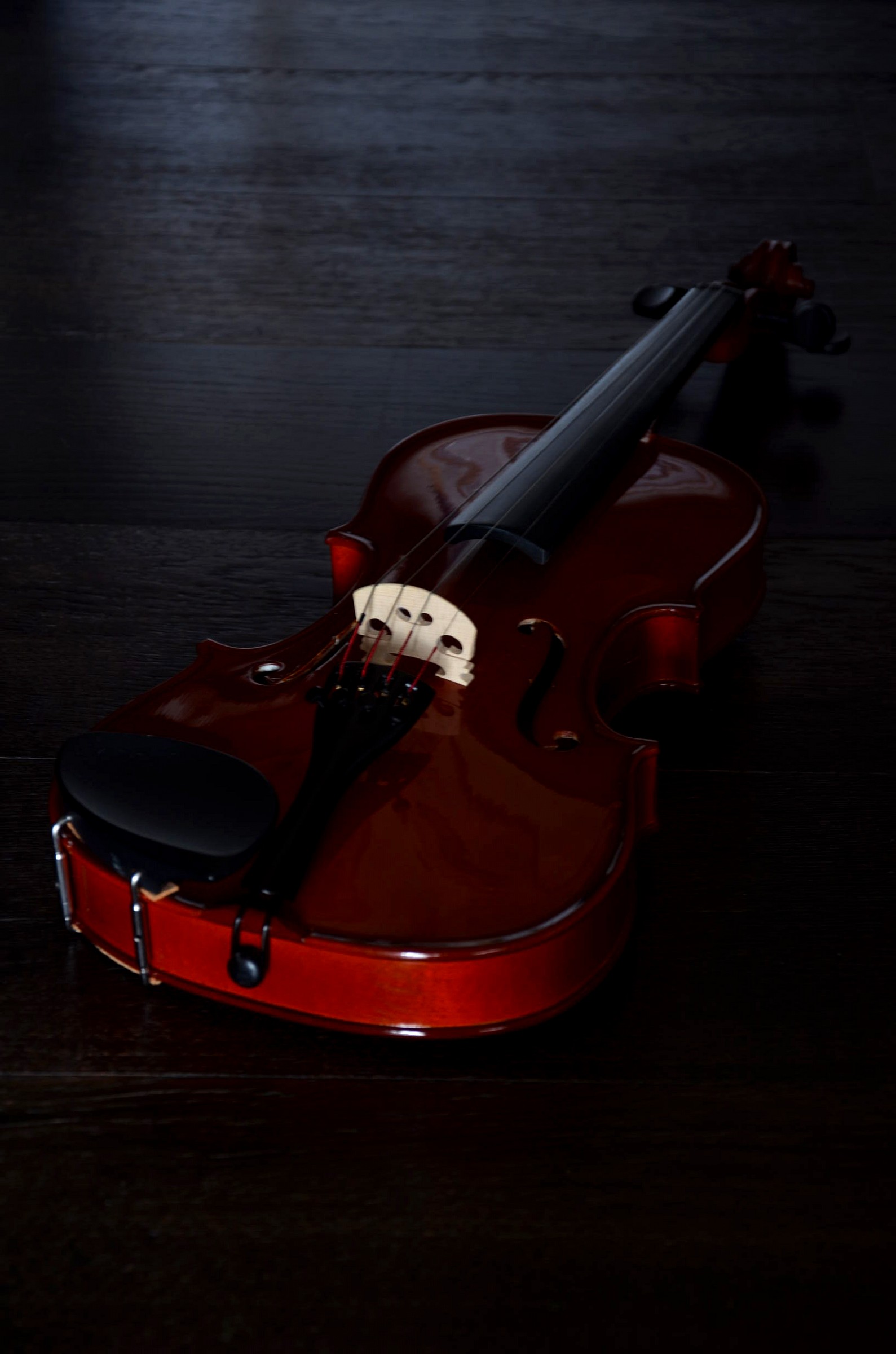 Violin