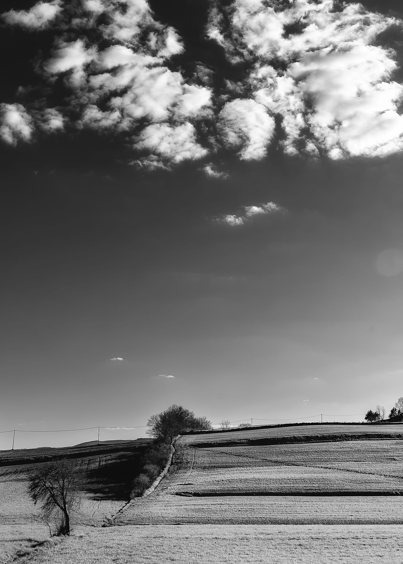 Southern Valdichiana