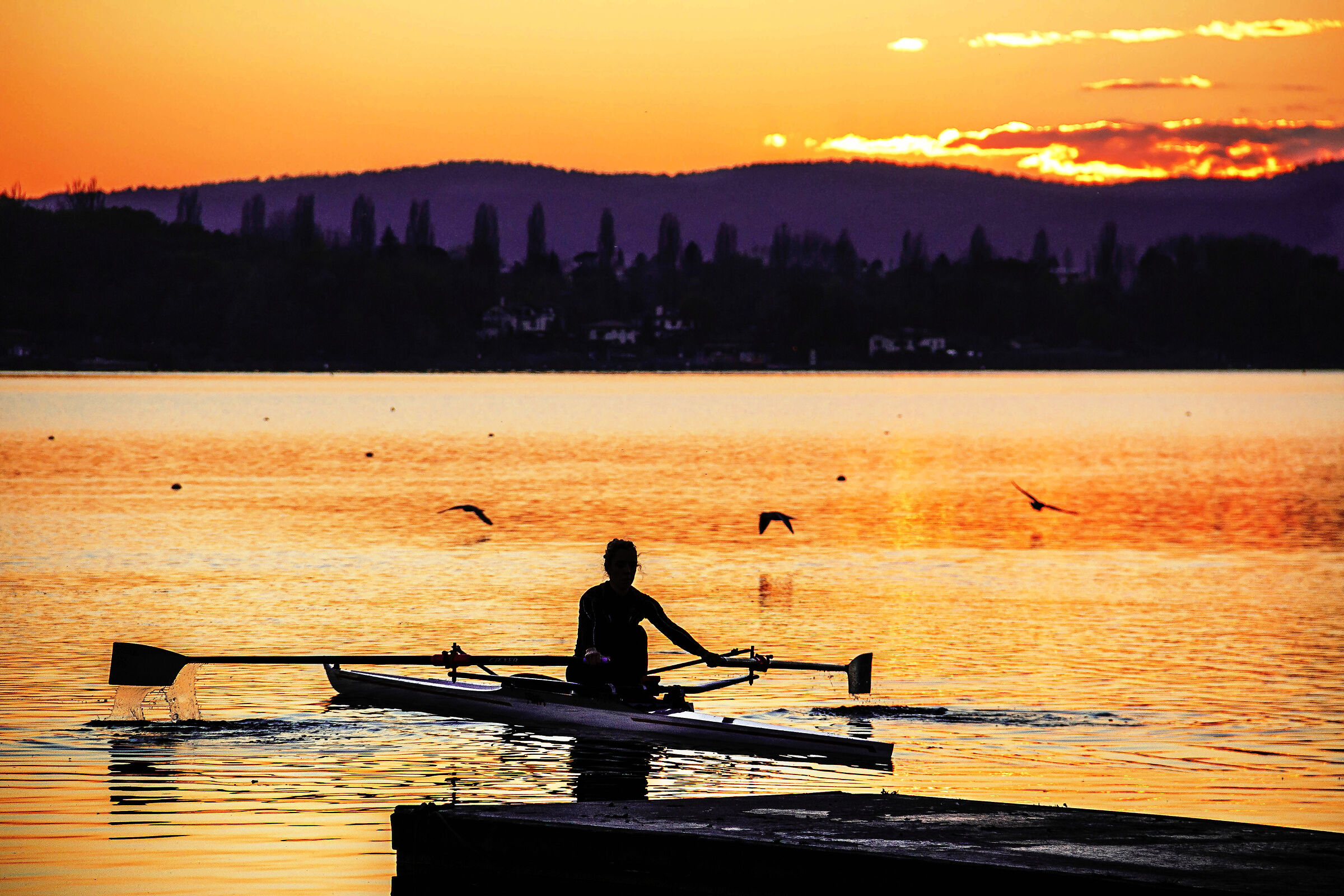 A certain kind of loneliness ...