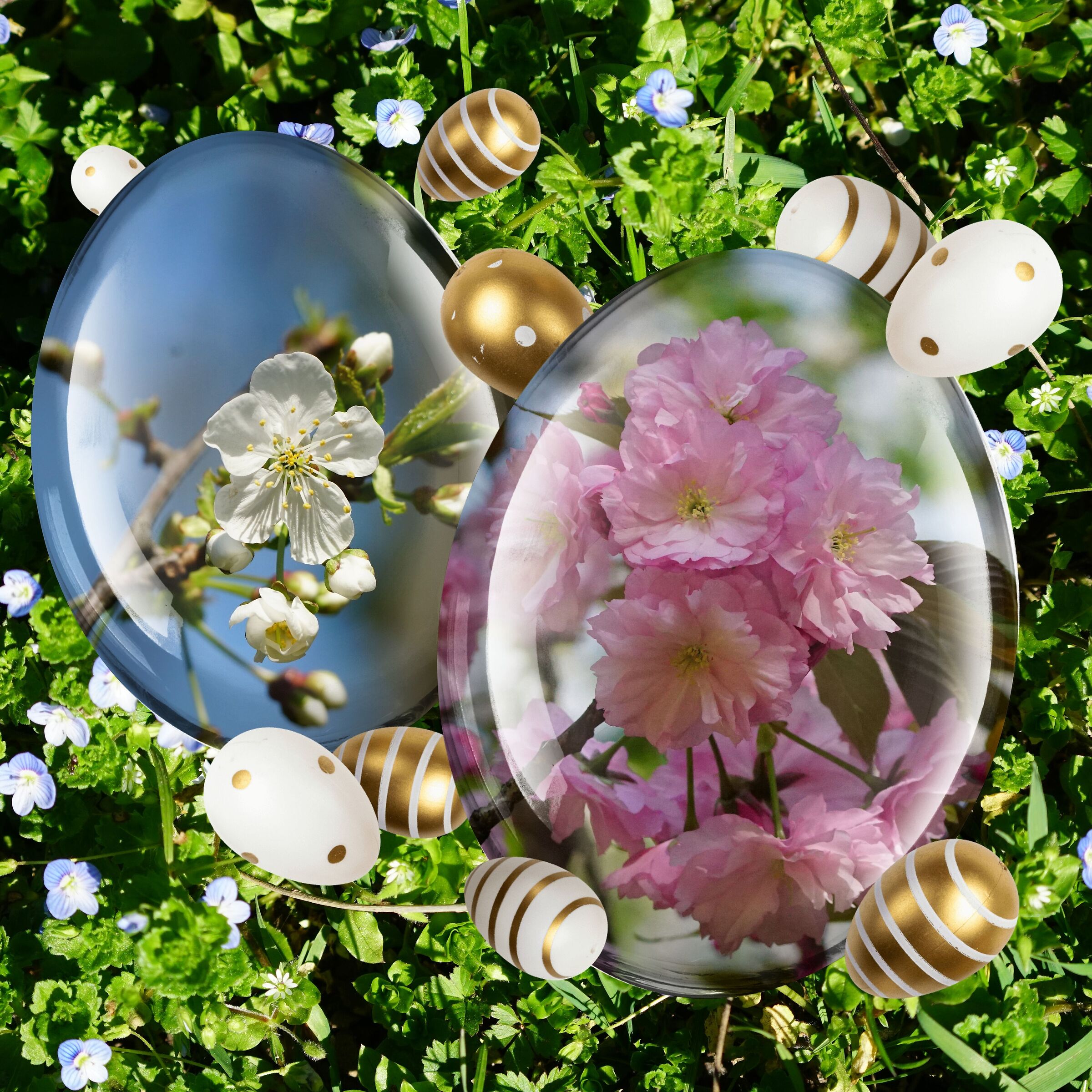 Buona Pasqua a tutti