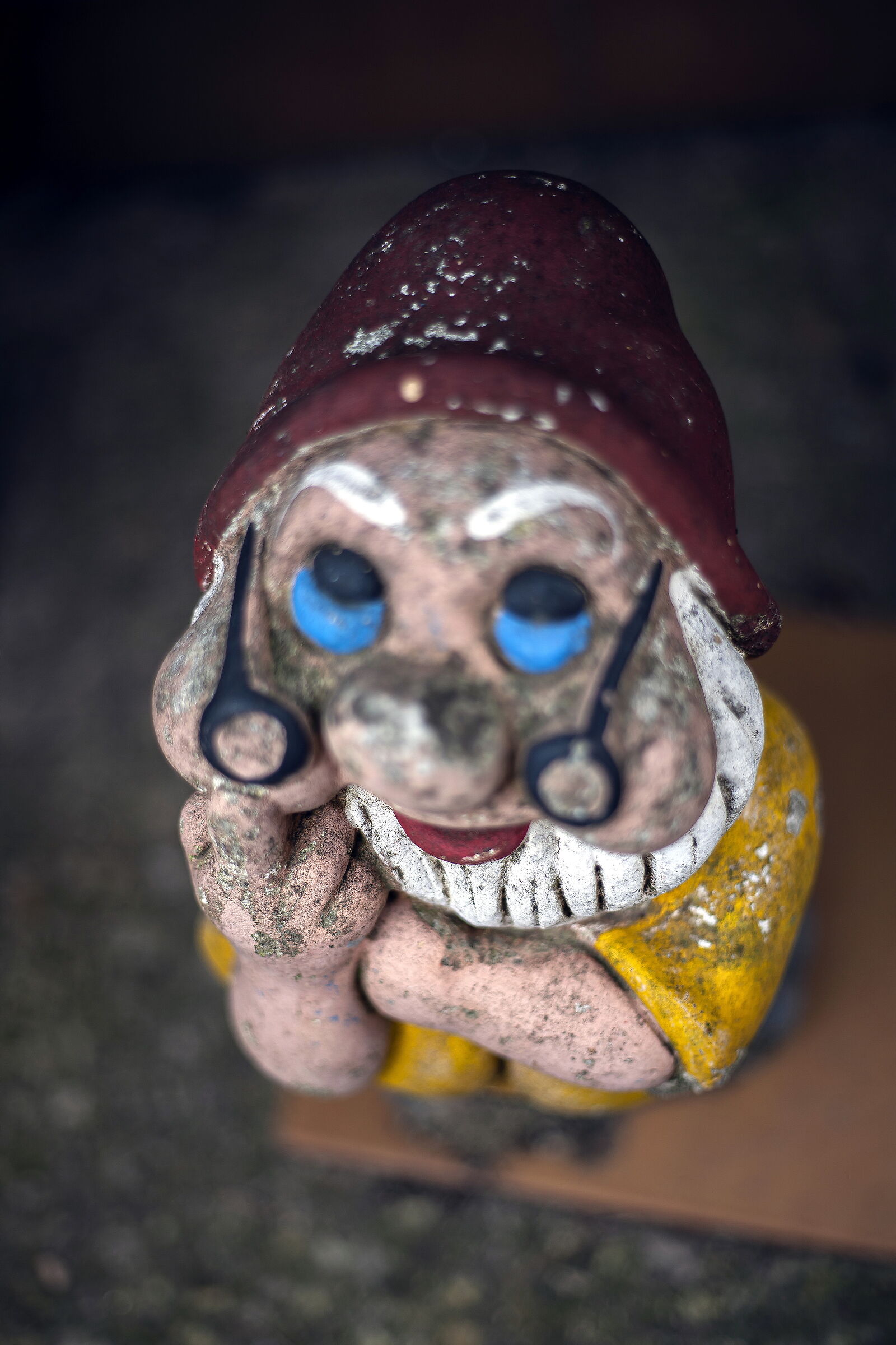 Dottolo in giardinolo...