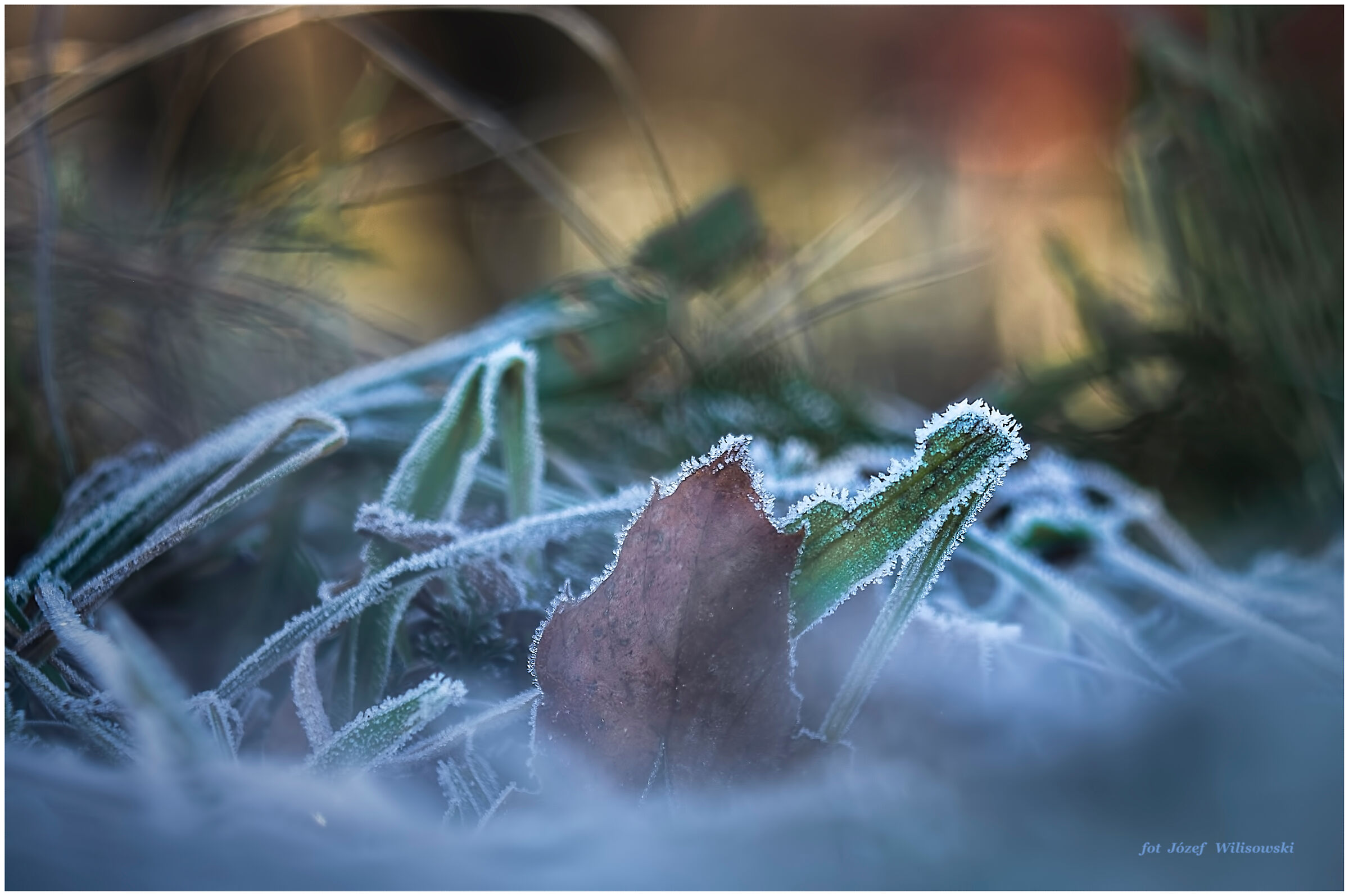 Modified Diaplan 80/2,8