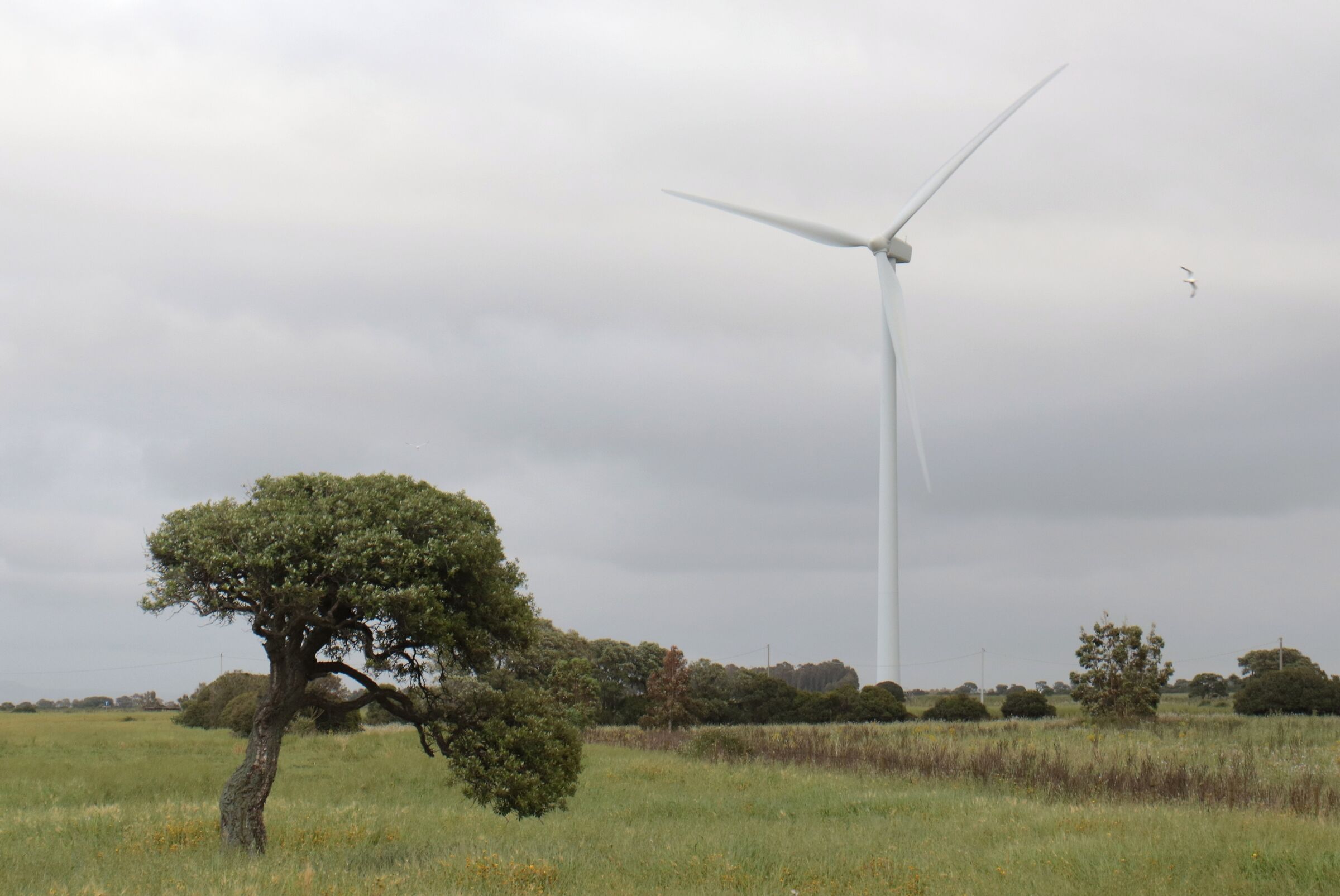 Prospettiva e dimensione