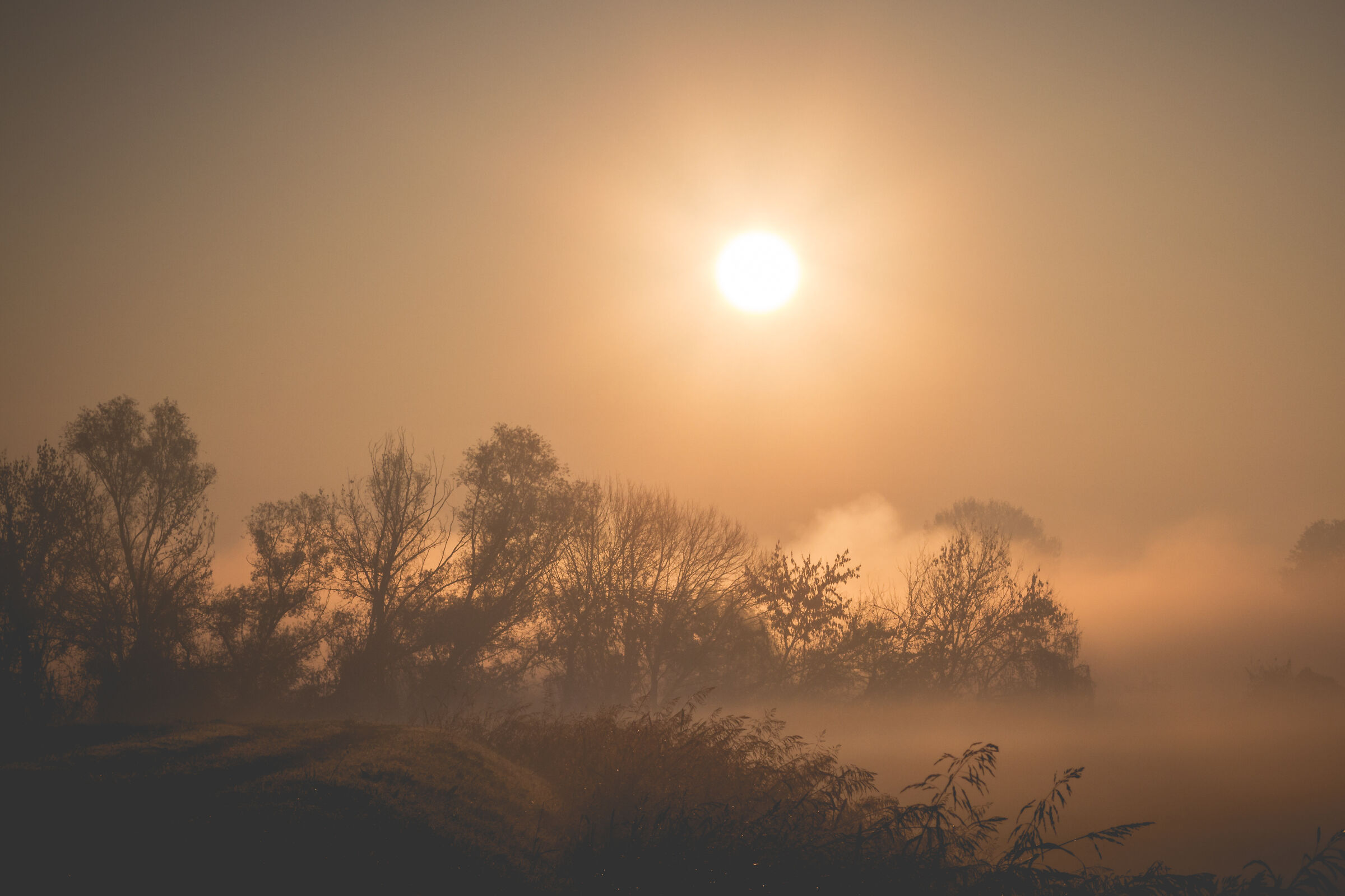 L'alba dentro l'imbrunire