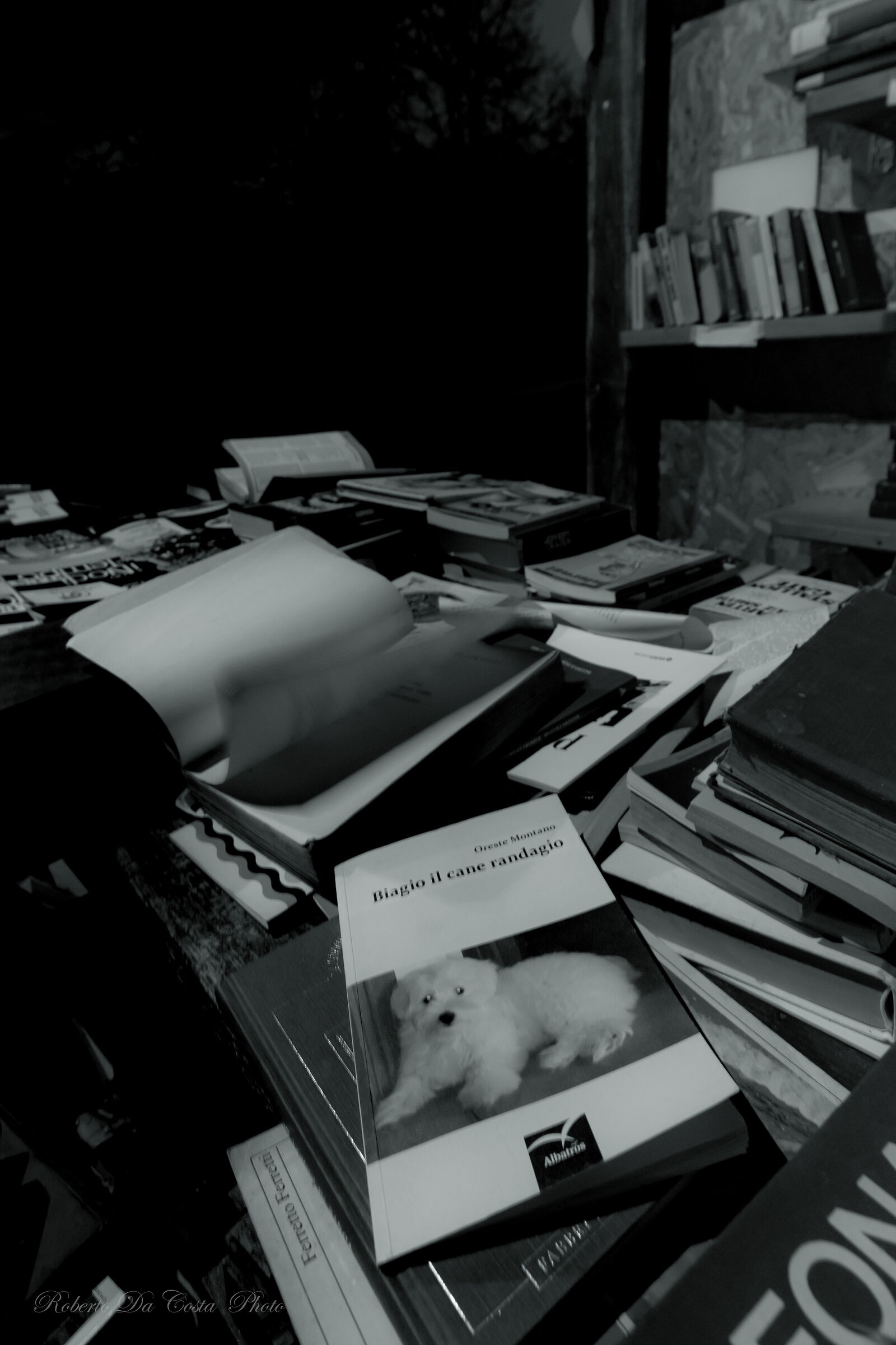 Never abandon a true friend