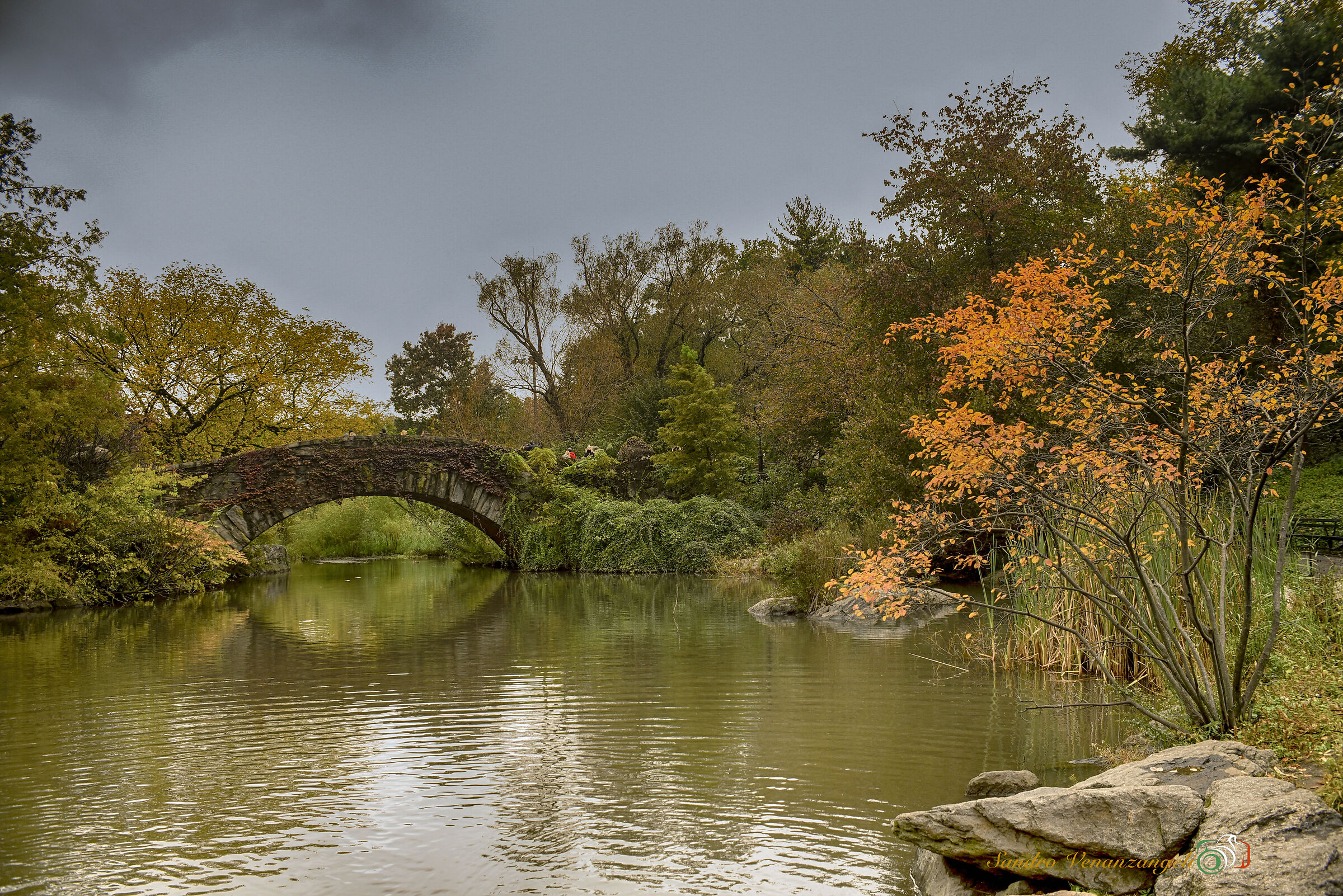 Autumn, New York