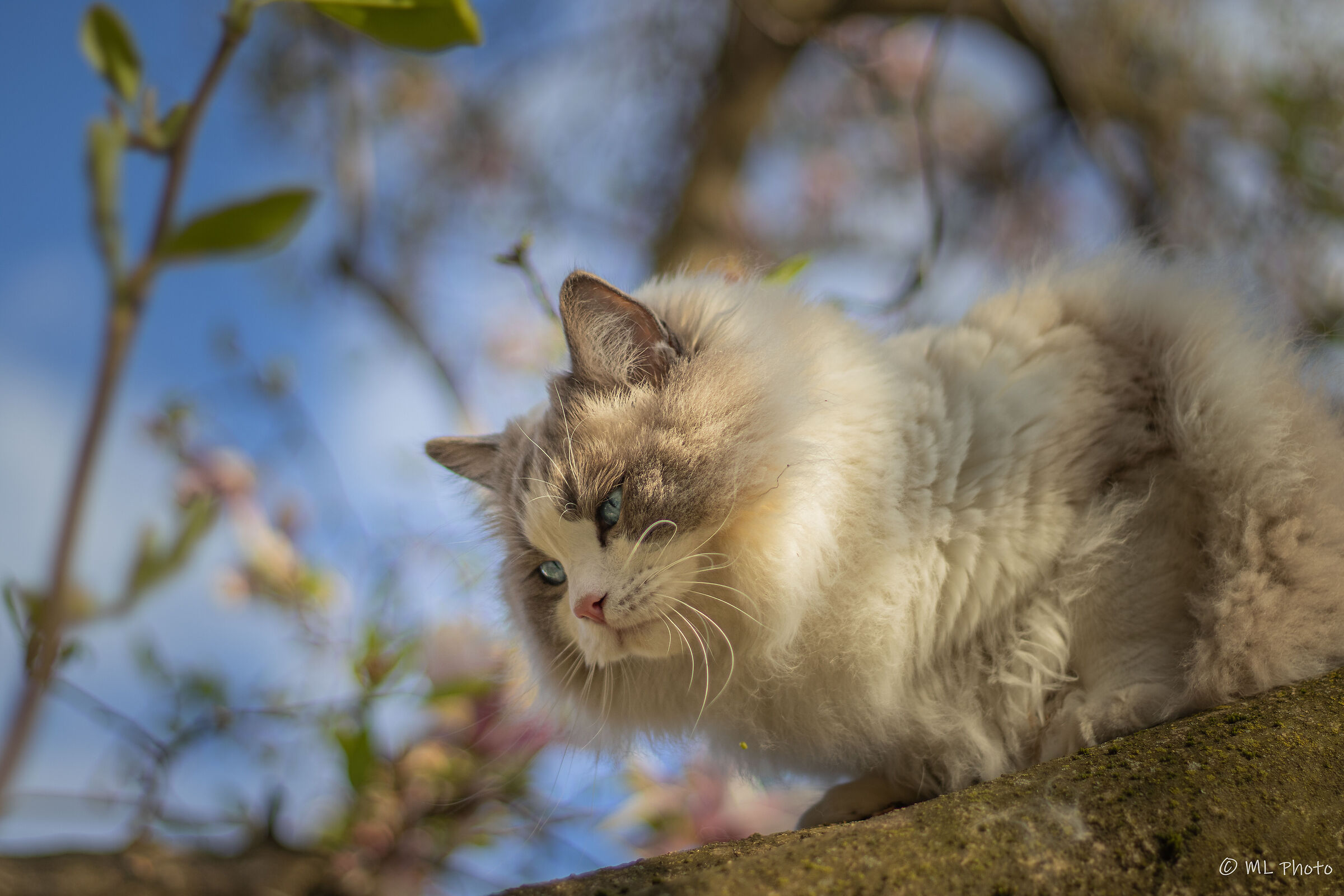 and how do I go down?