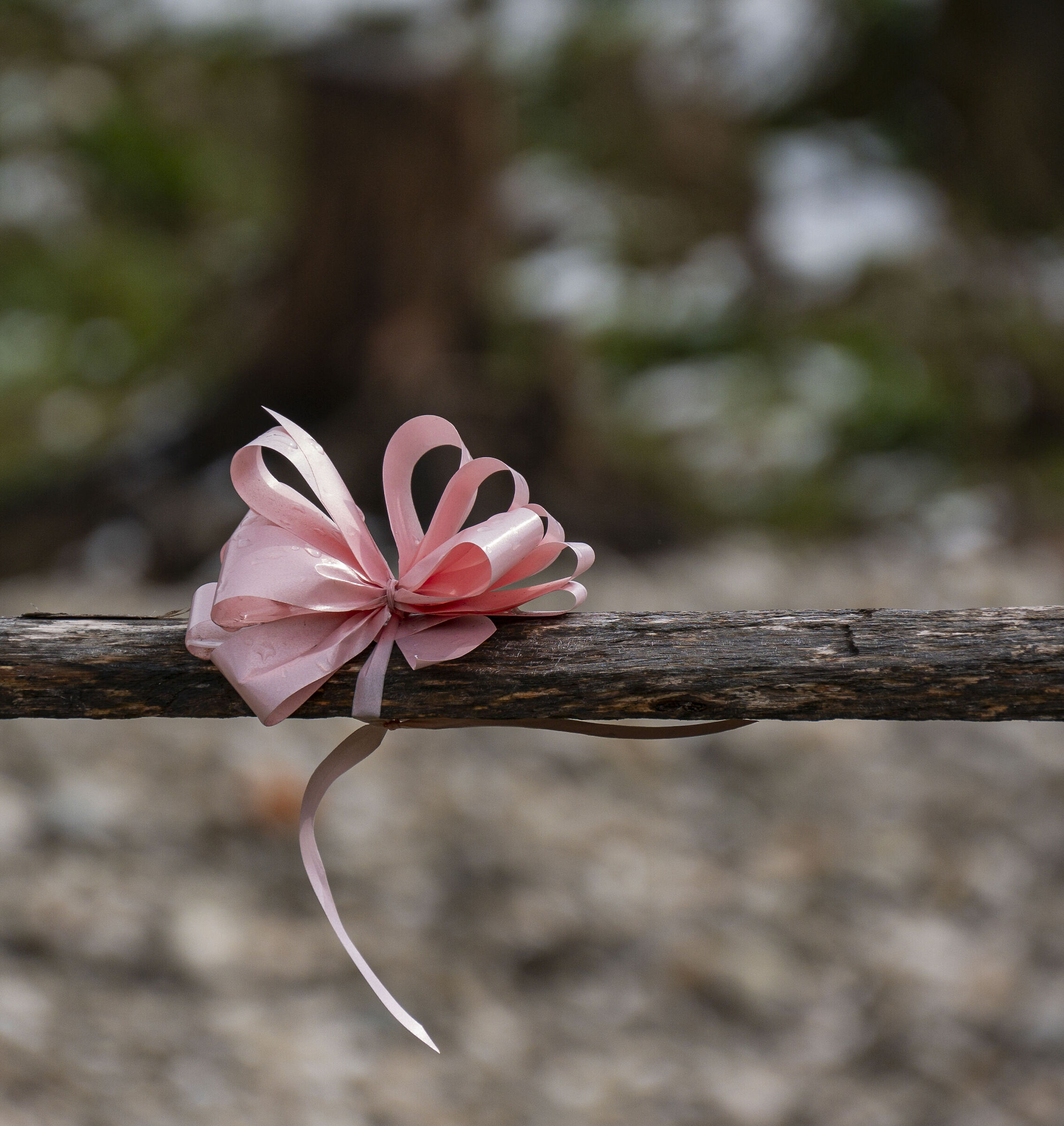 Pink Bow