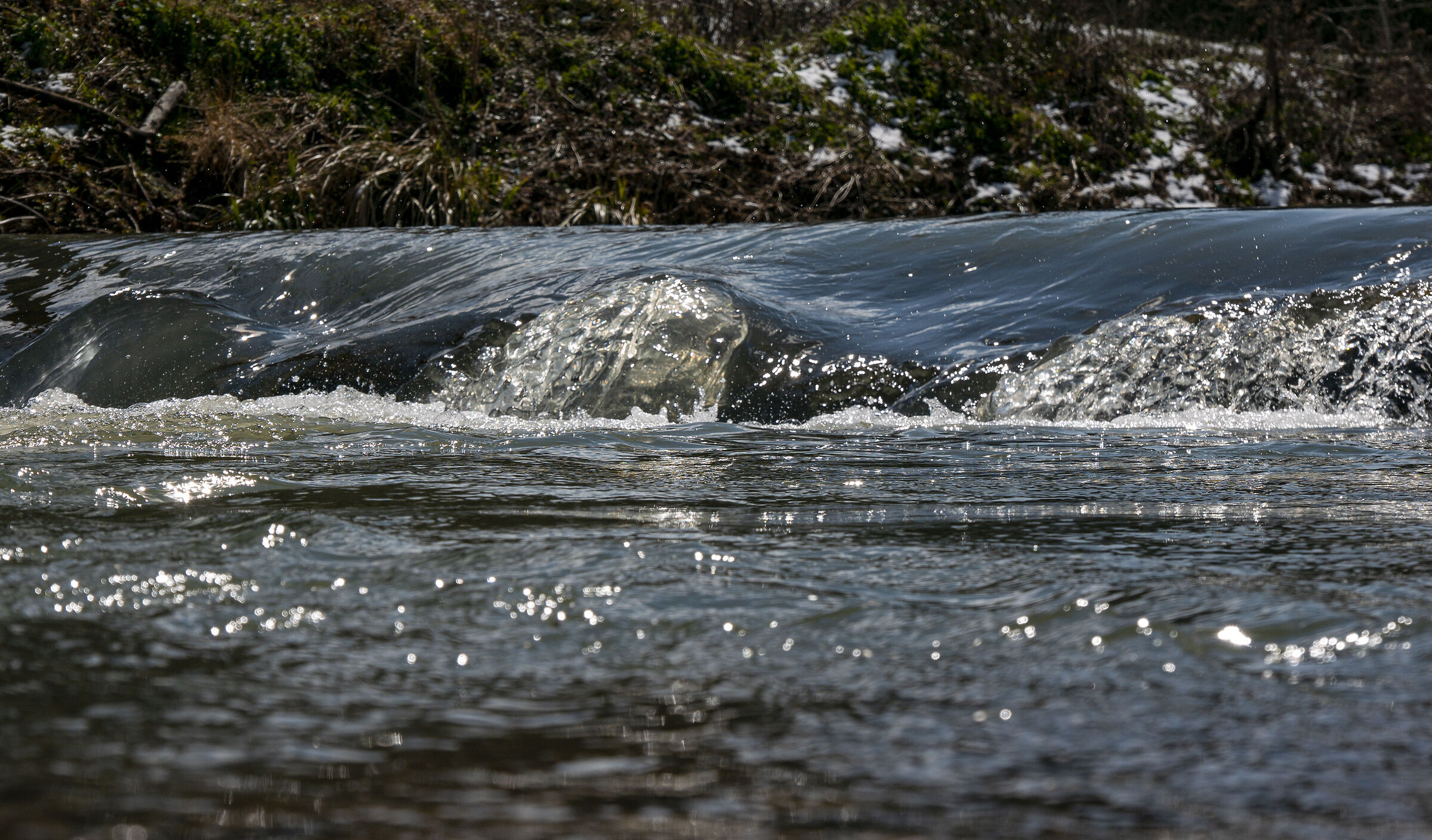 surface tension