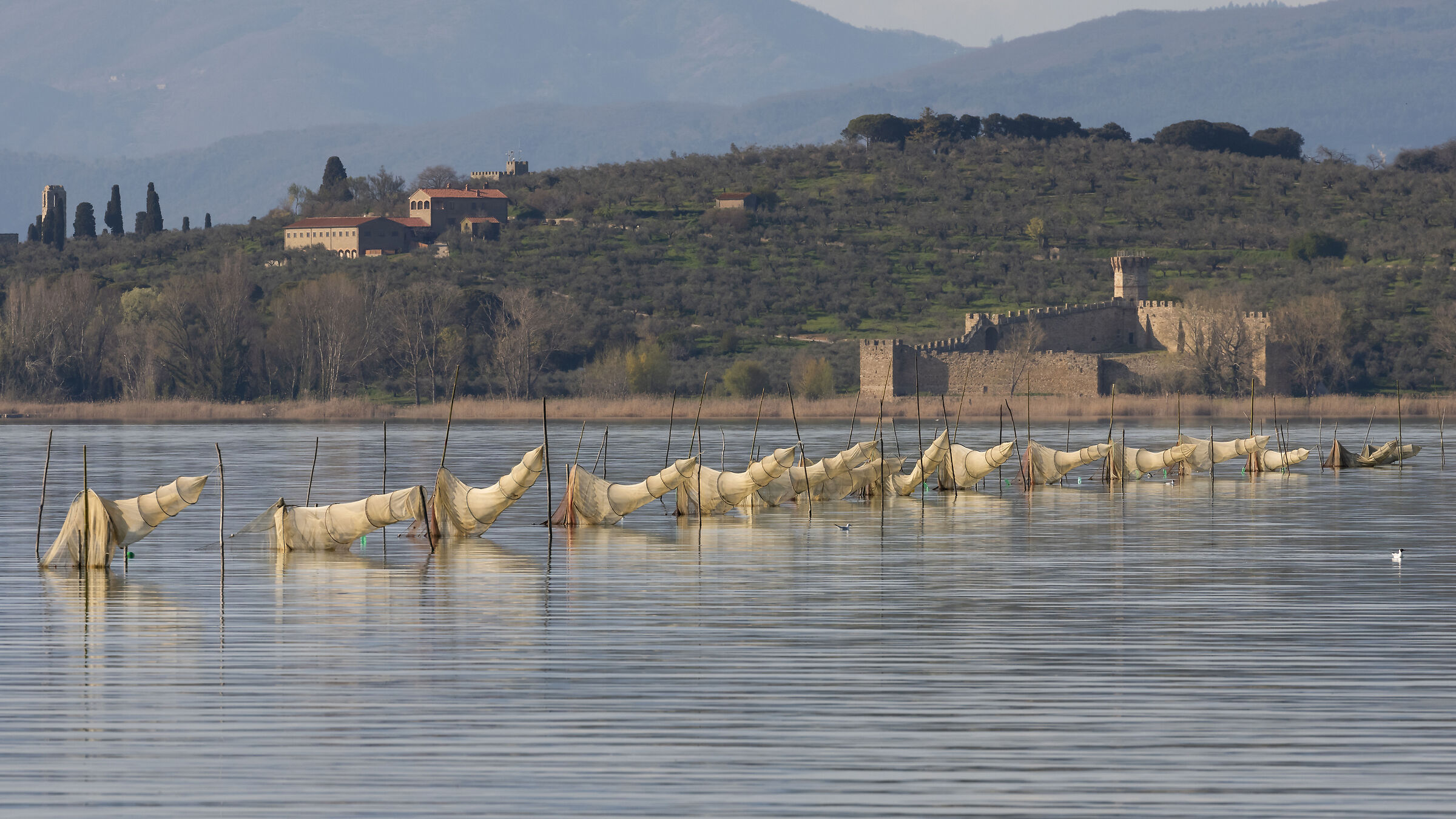 Dry nets on Trasimeno towards Isola Polvese