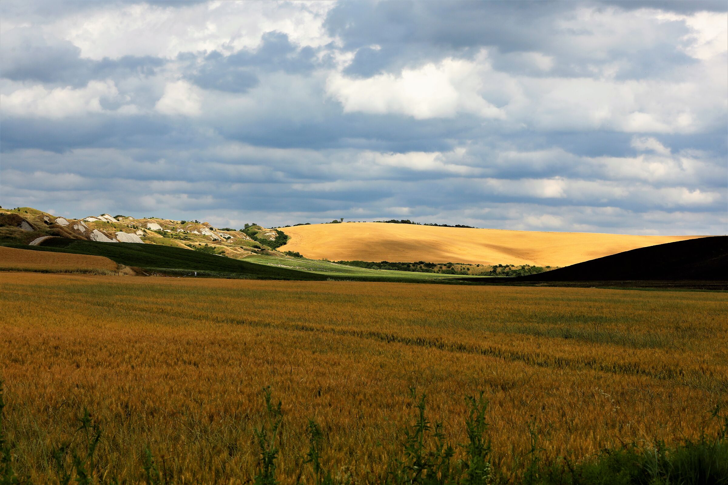 In un tranquillo attimo di pace.......