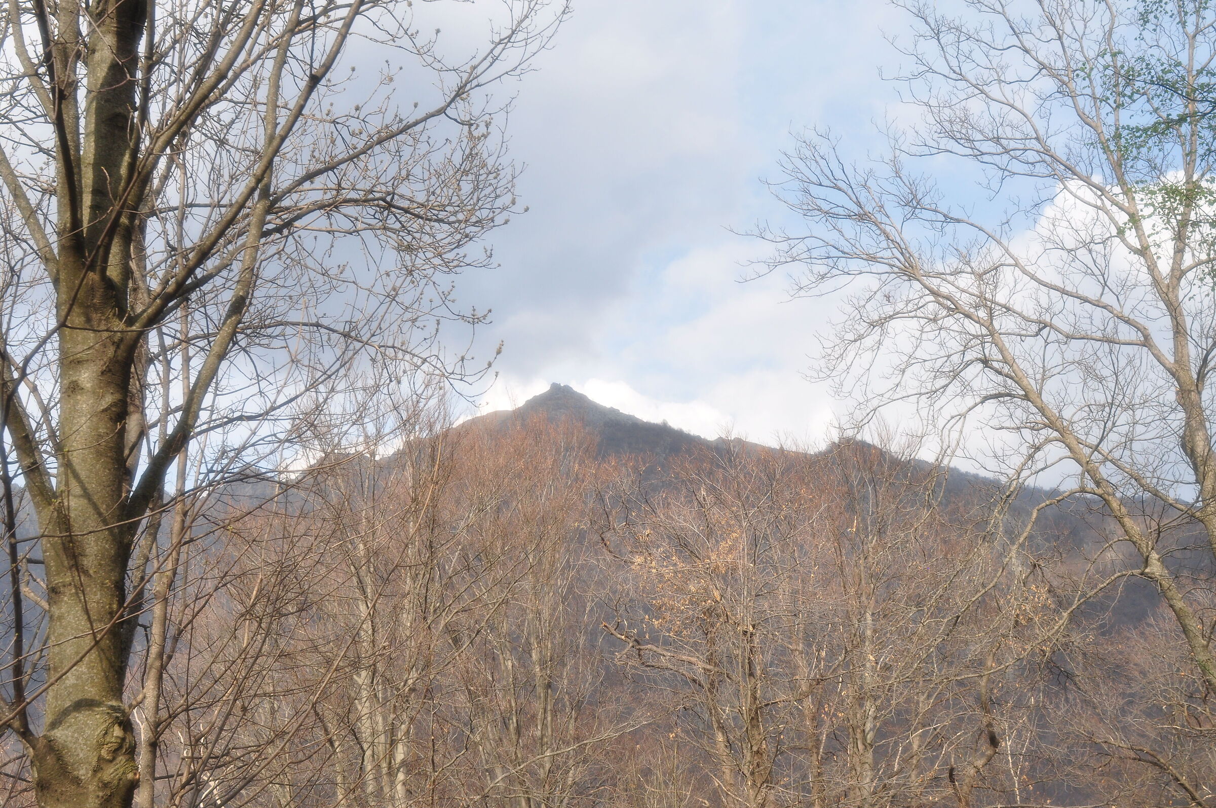 Primavera punta Arbella