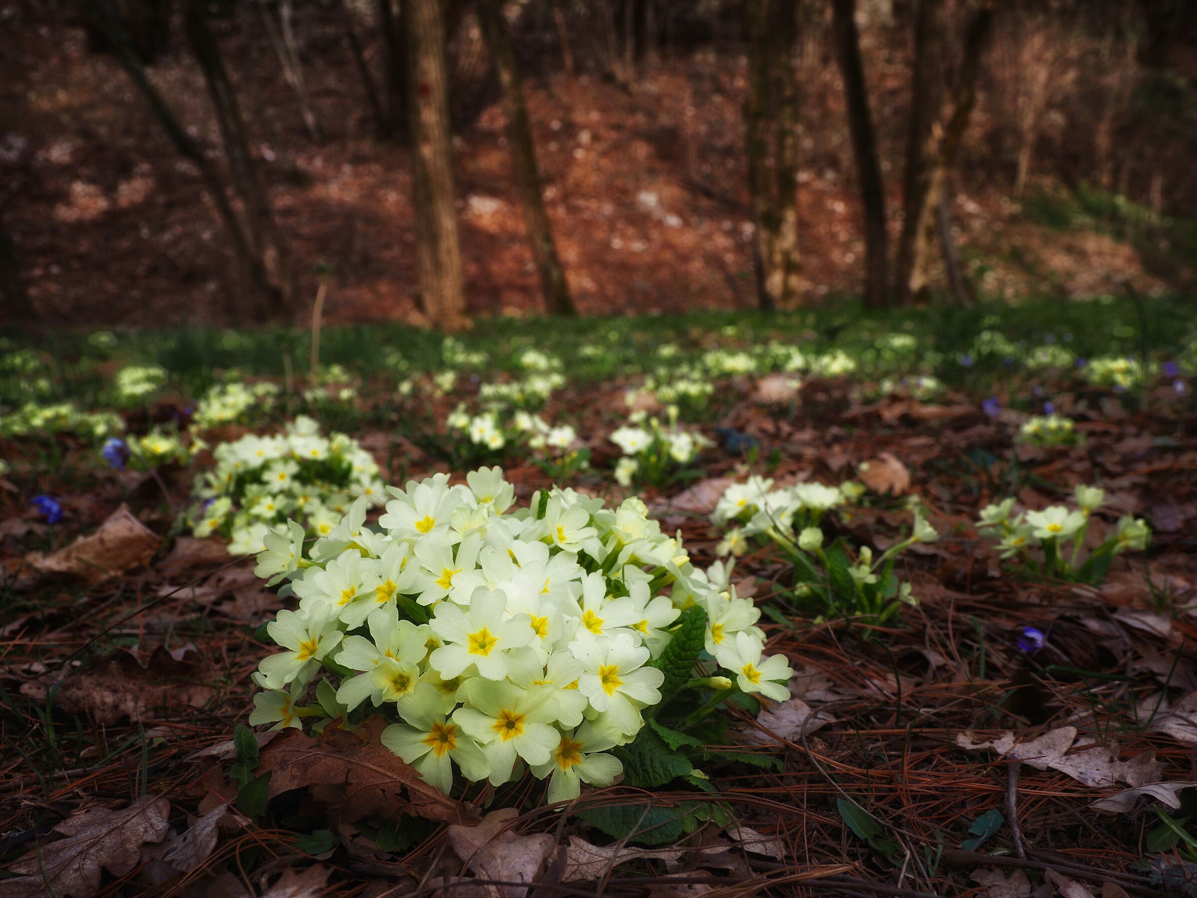happy Easter!