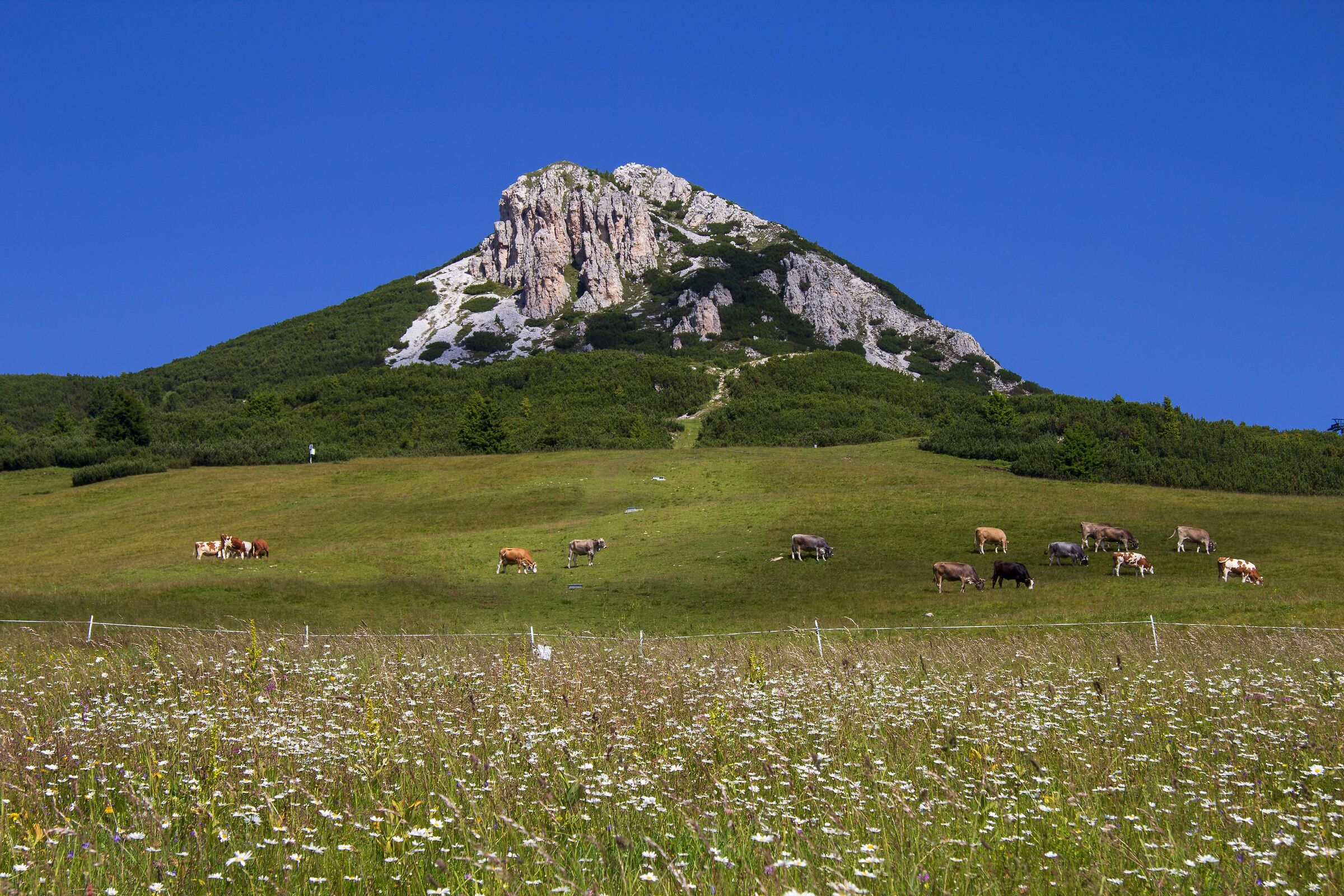 White Horn, Oclini Pass