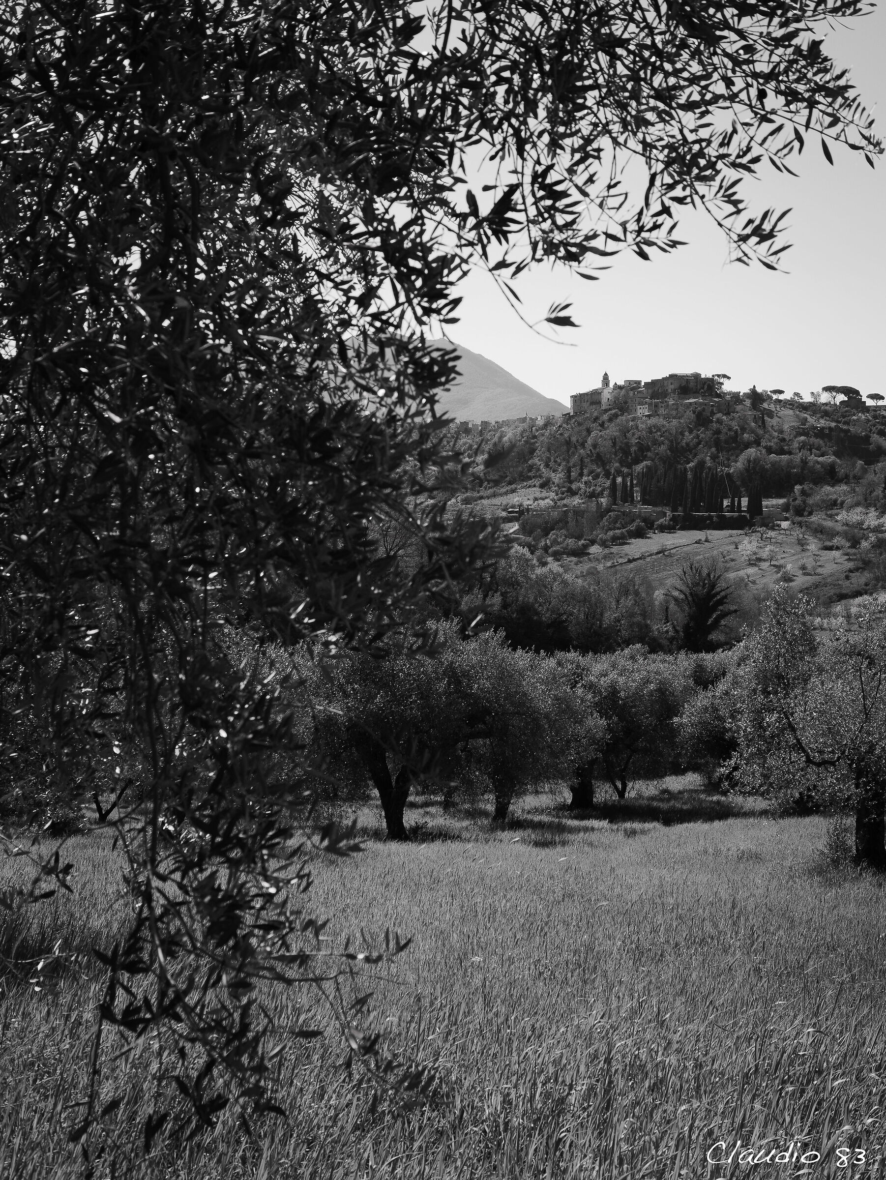 Landscapes of the Sabina...