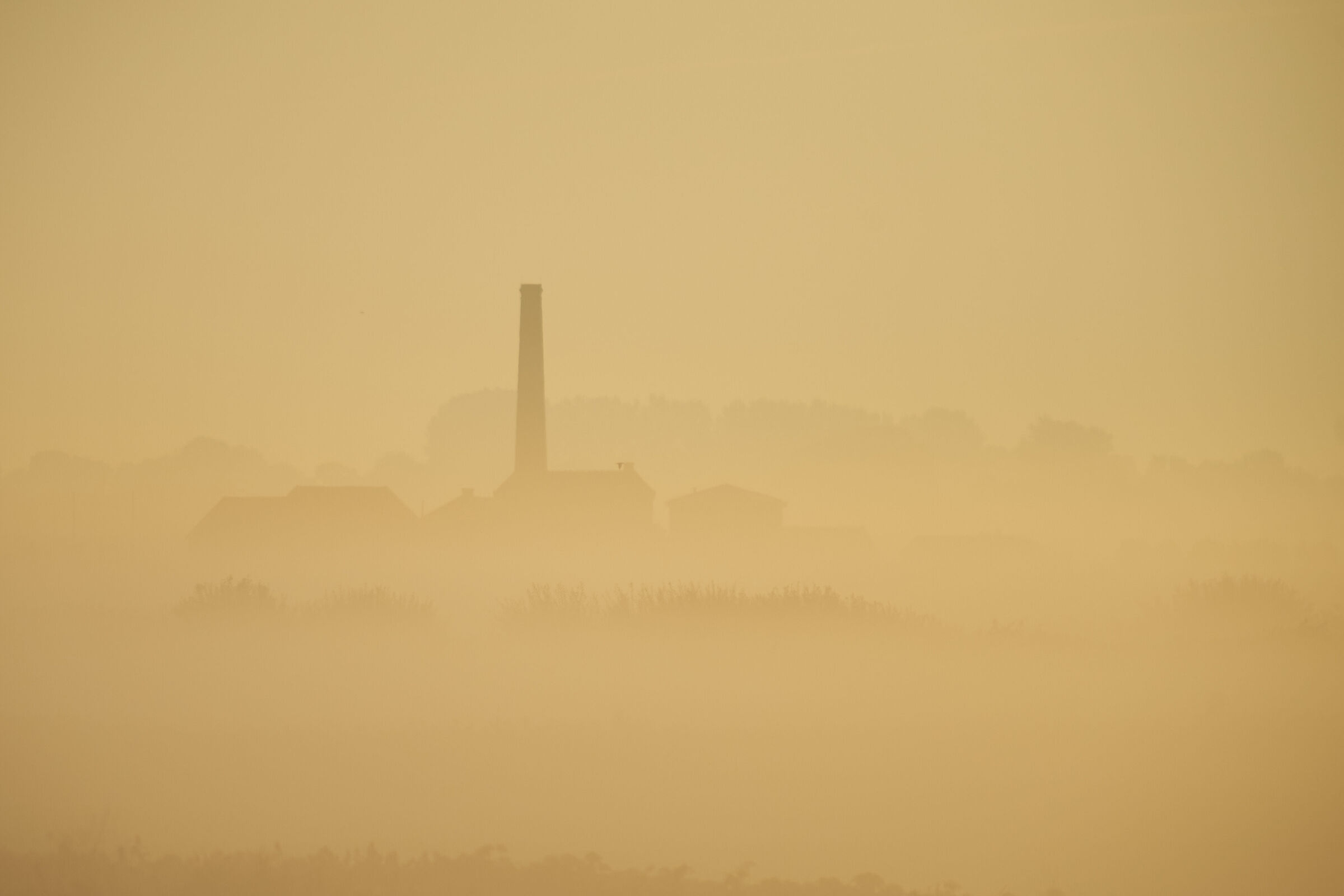 La polvere del Sahara è arrivata in Olanda. All'alba.