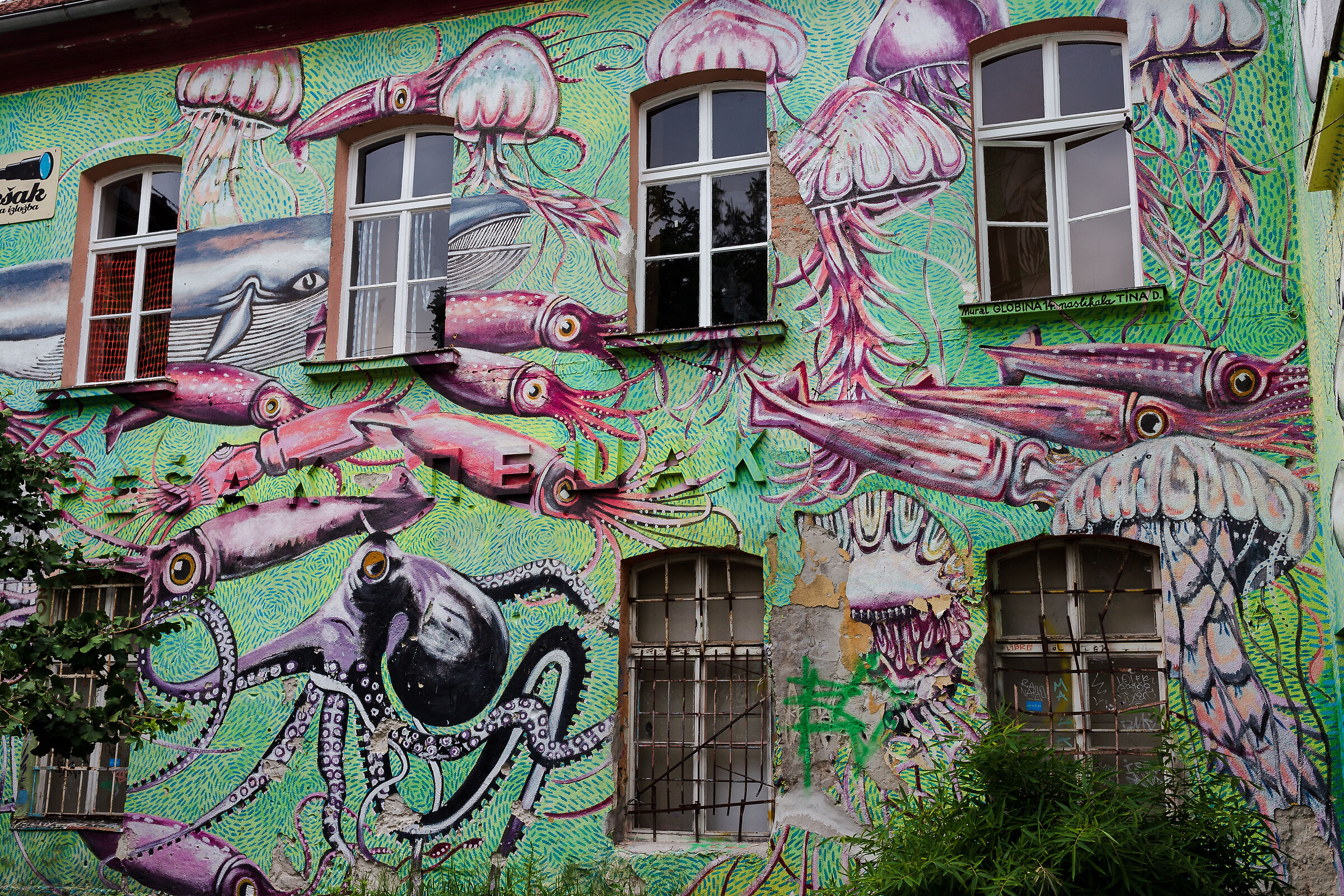 Metelkova  -pt7