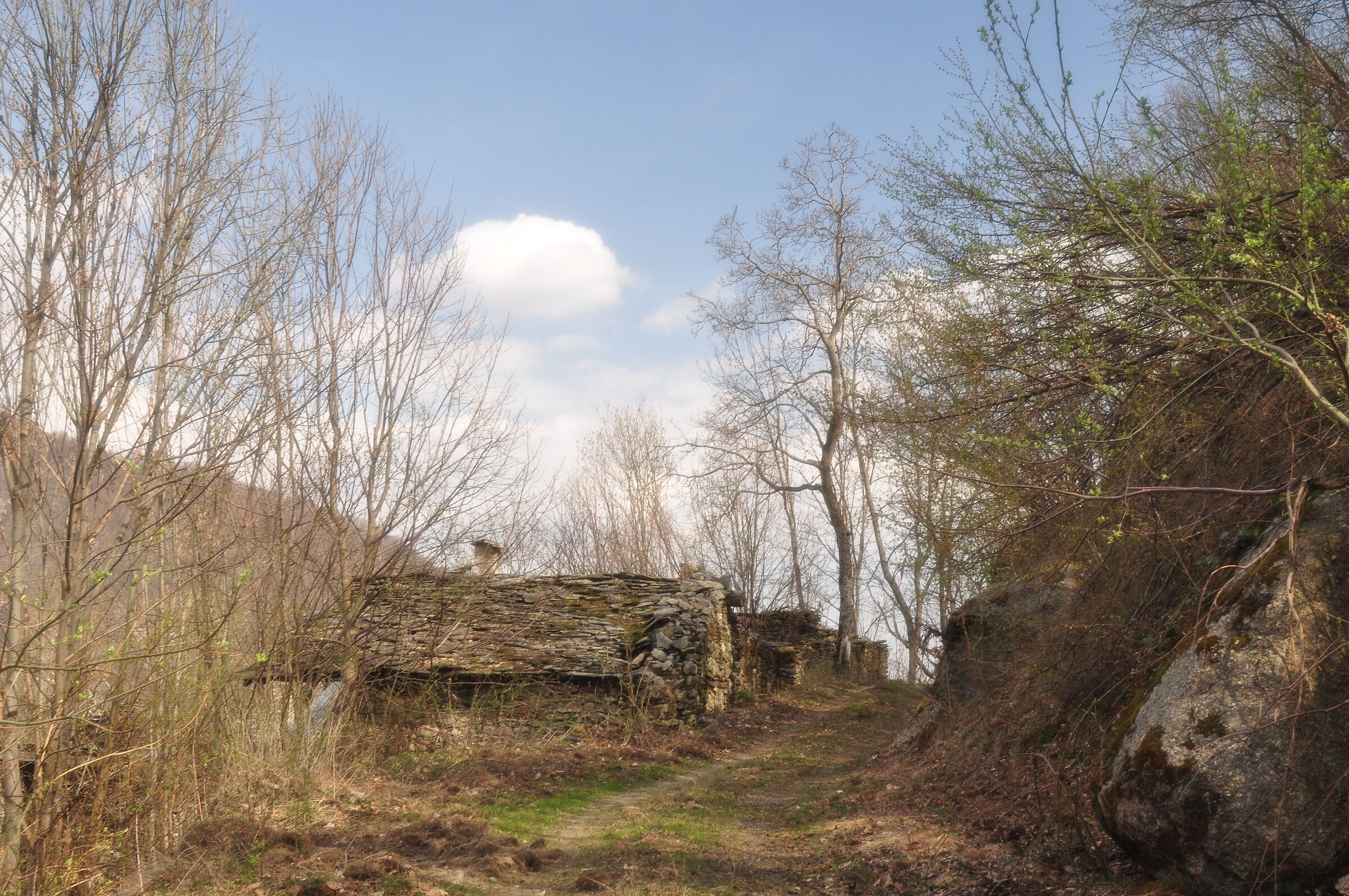 Primavera in alto Canavese sulla strada di Bose 2