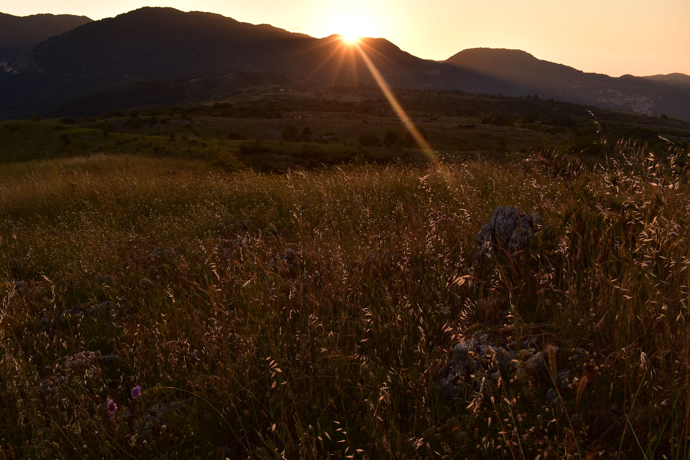 Latest cut-out lights
