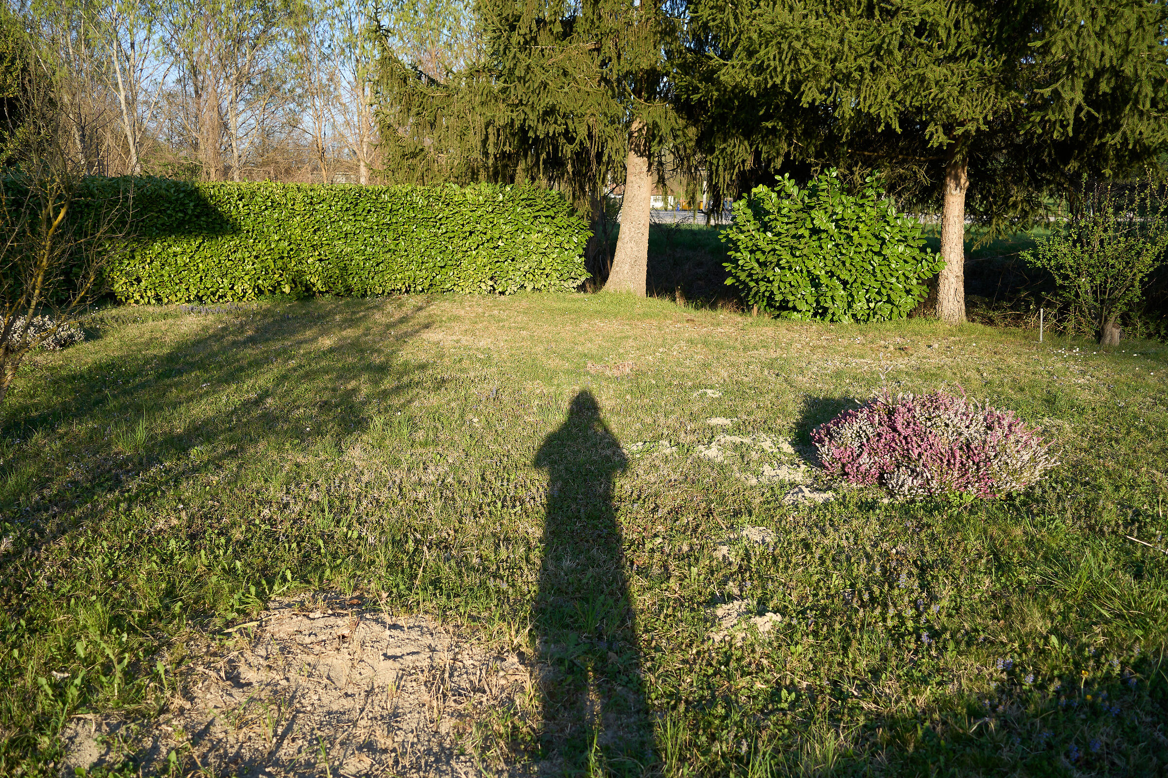 Test A7C 02, RAW da C1 "Sony A7C ProStandard"