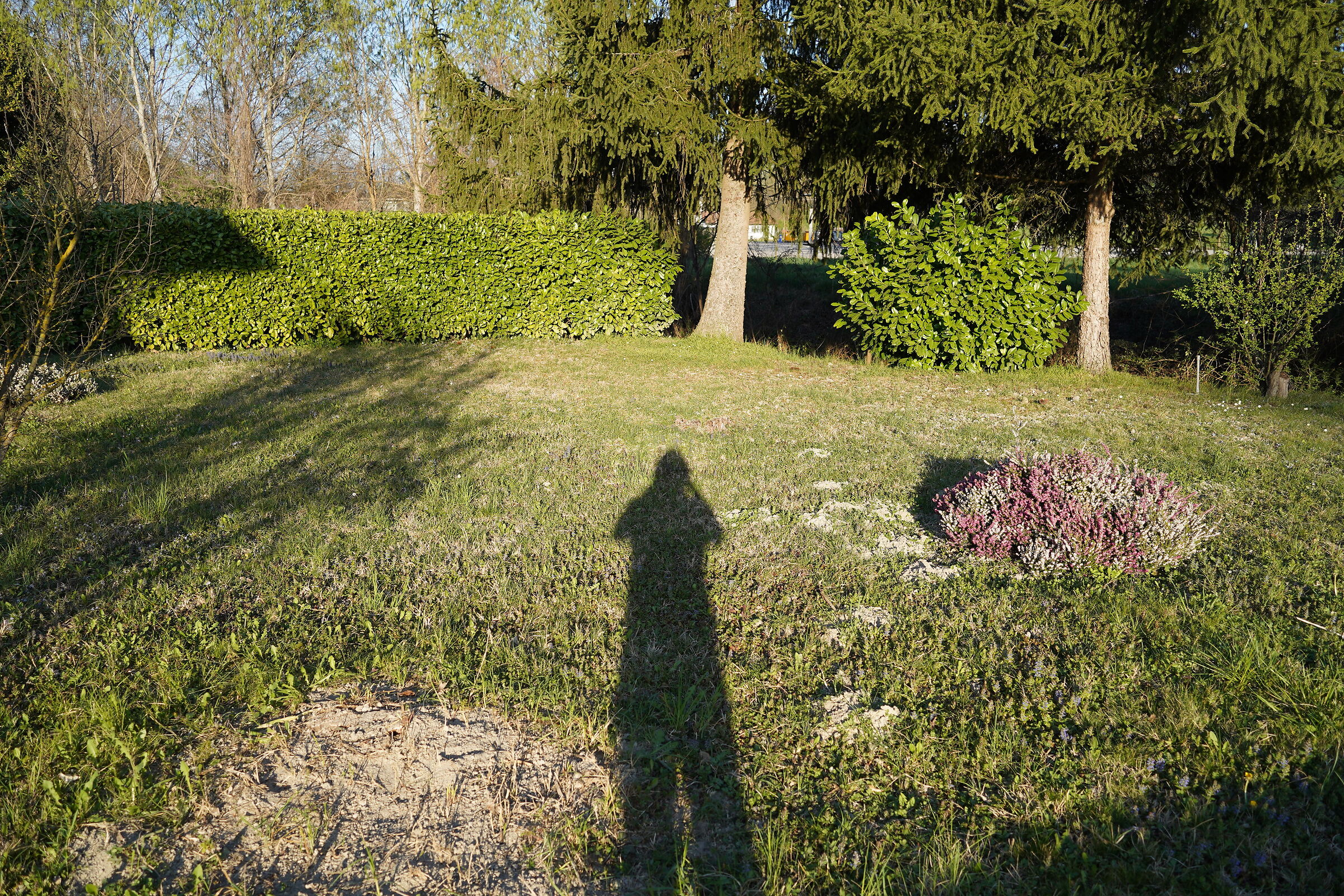 Test A7C 02, jpeg con Profilo STD 0,0,0 - AWB Std.