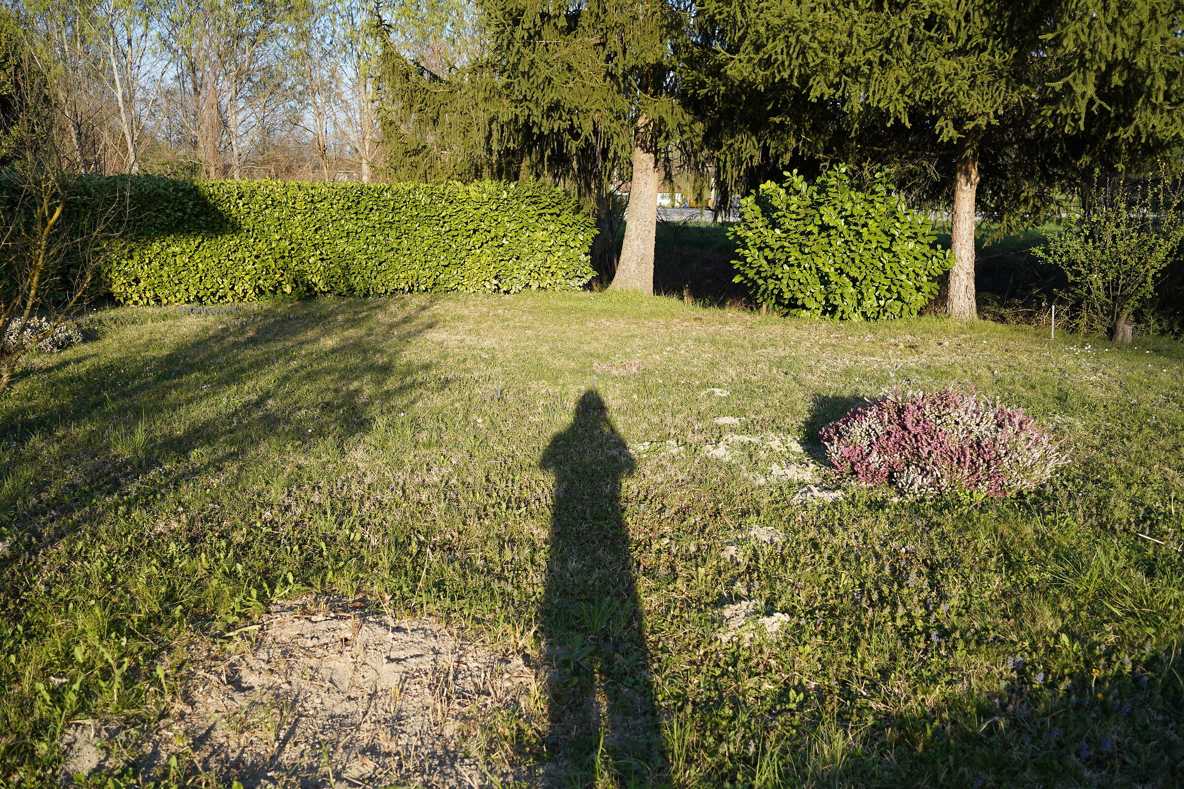 Test A7C 02, jpeg con Profilo STD 0,0,0 - AWB > Bianco