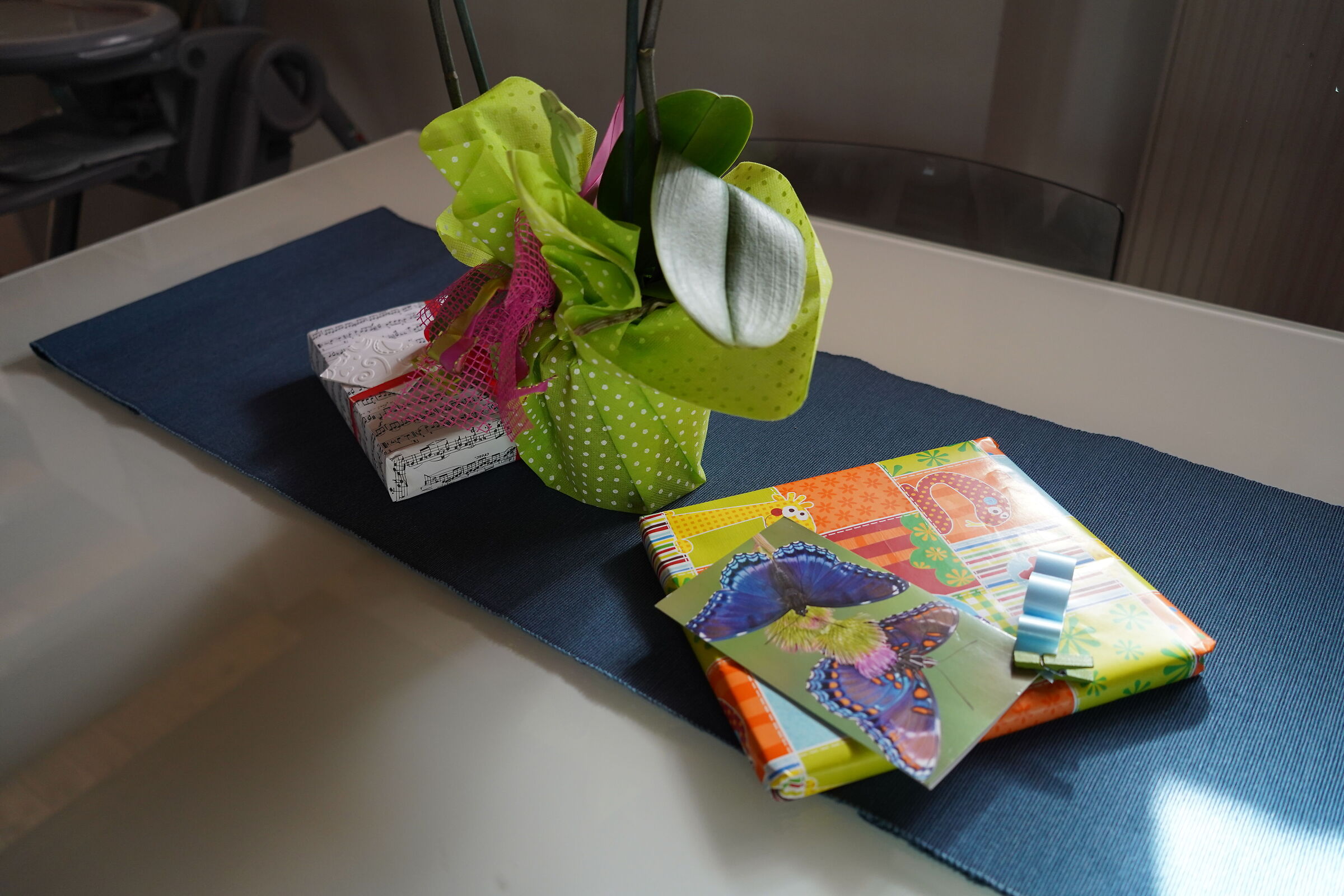 Test A7C 05, jpeg con Profilo STD 0,0,0 - AWB - DR Auto