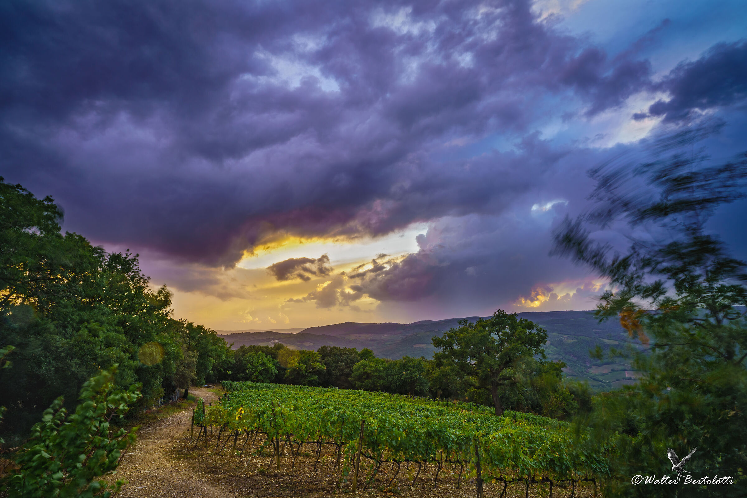 la via