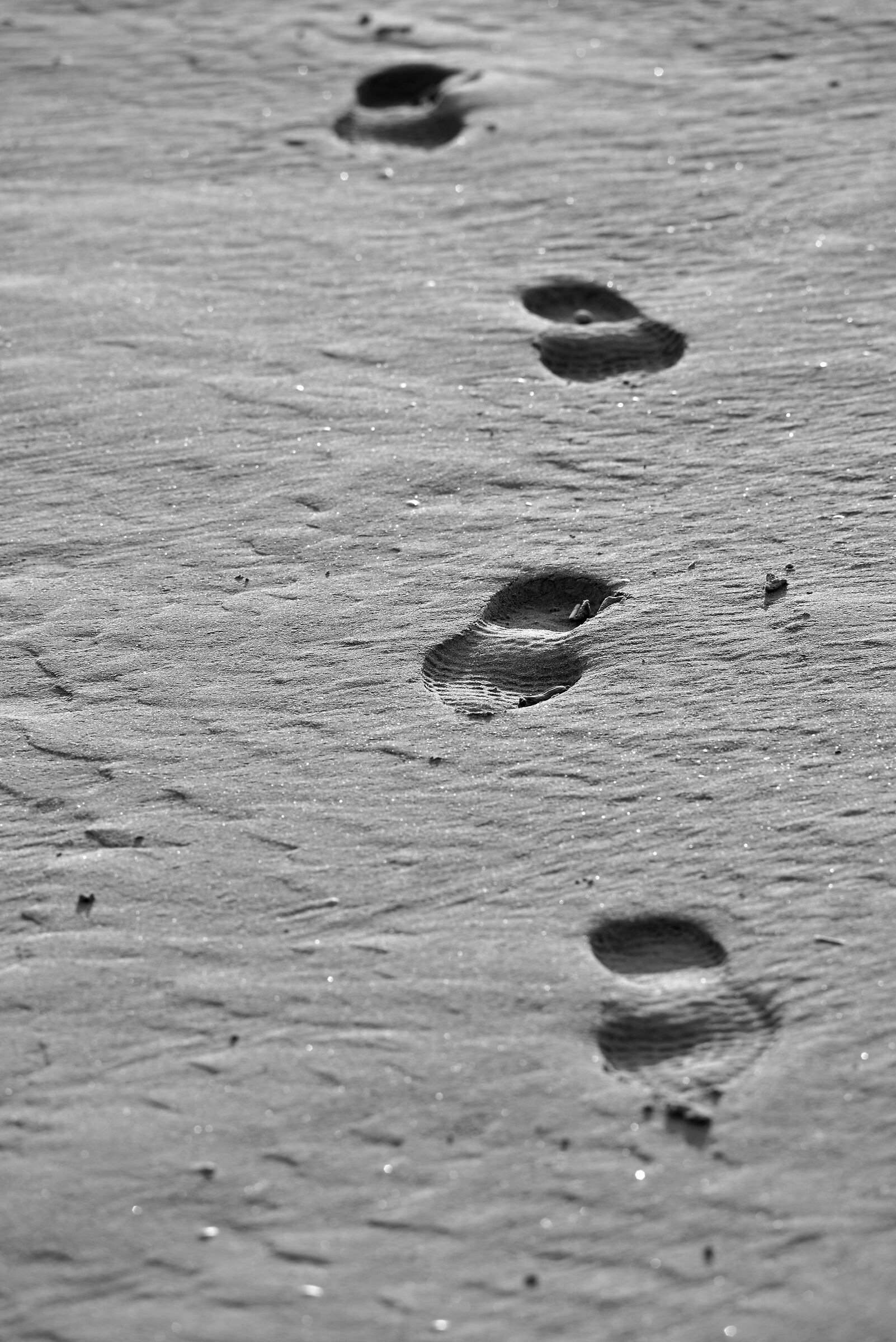 Passato, presente e futuro