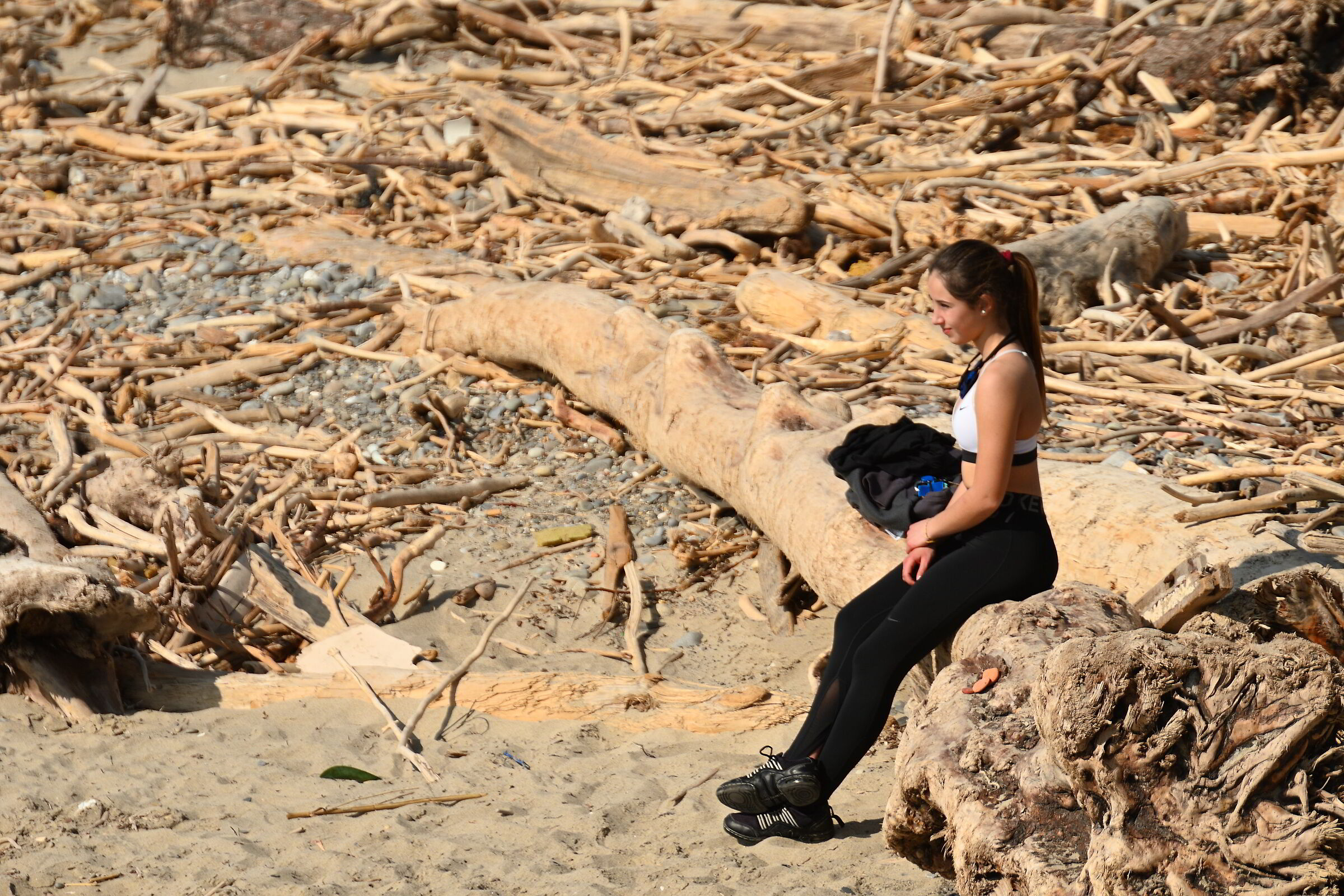 ...un mare di legname...