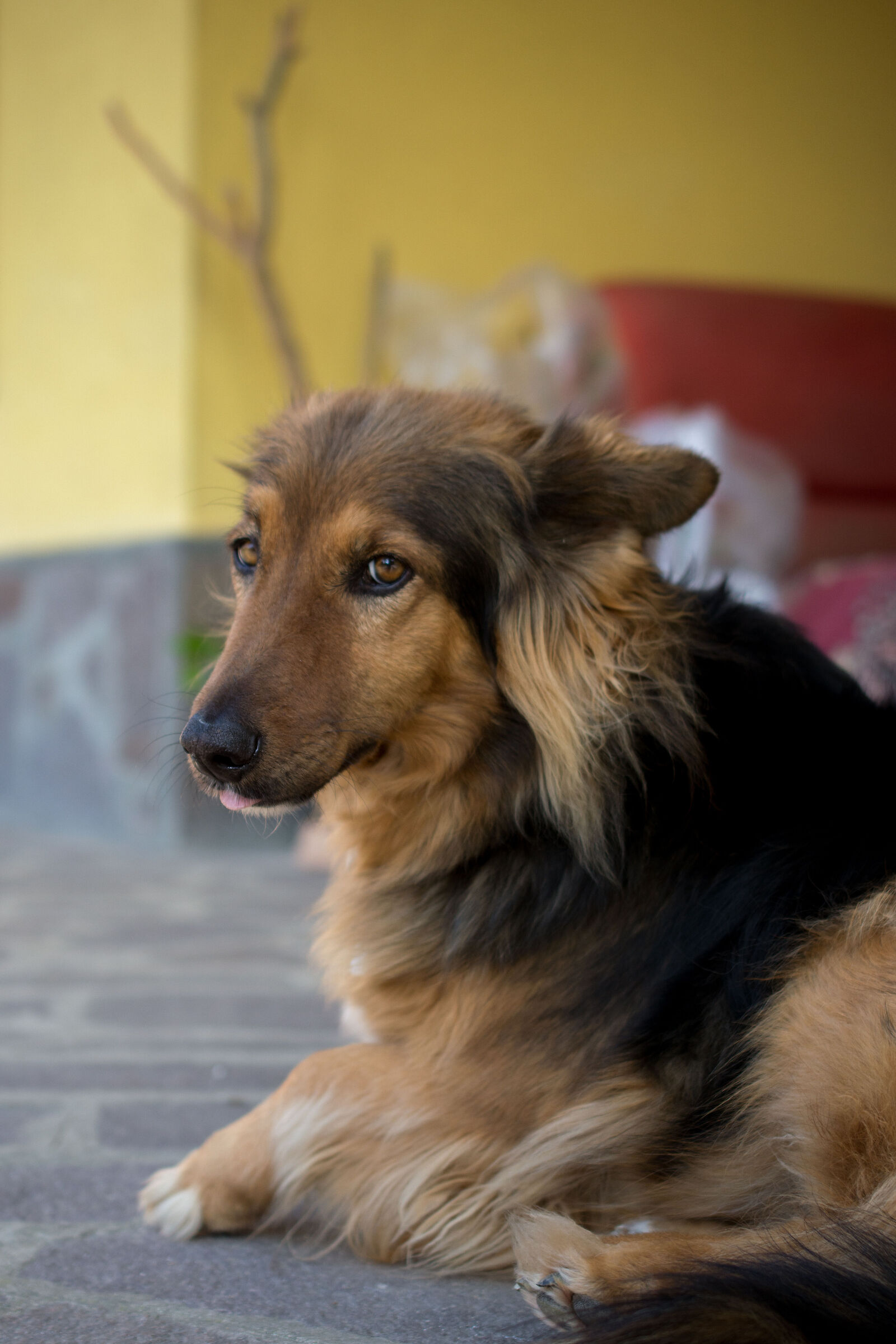 Ma piantala di fare la vittima!