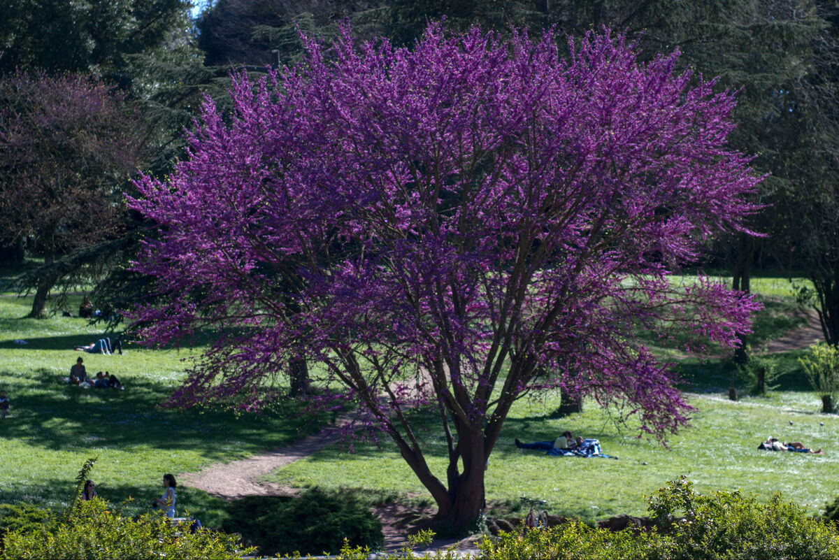 Una Pasqua dell'Ottocento.