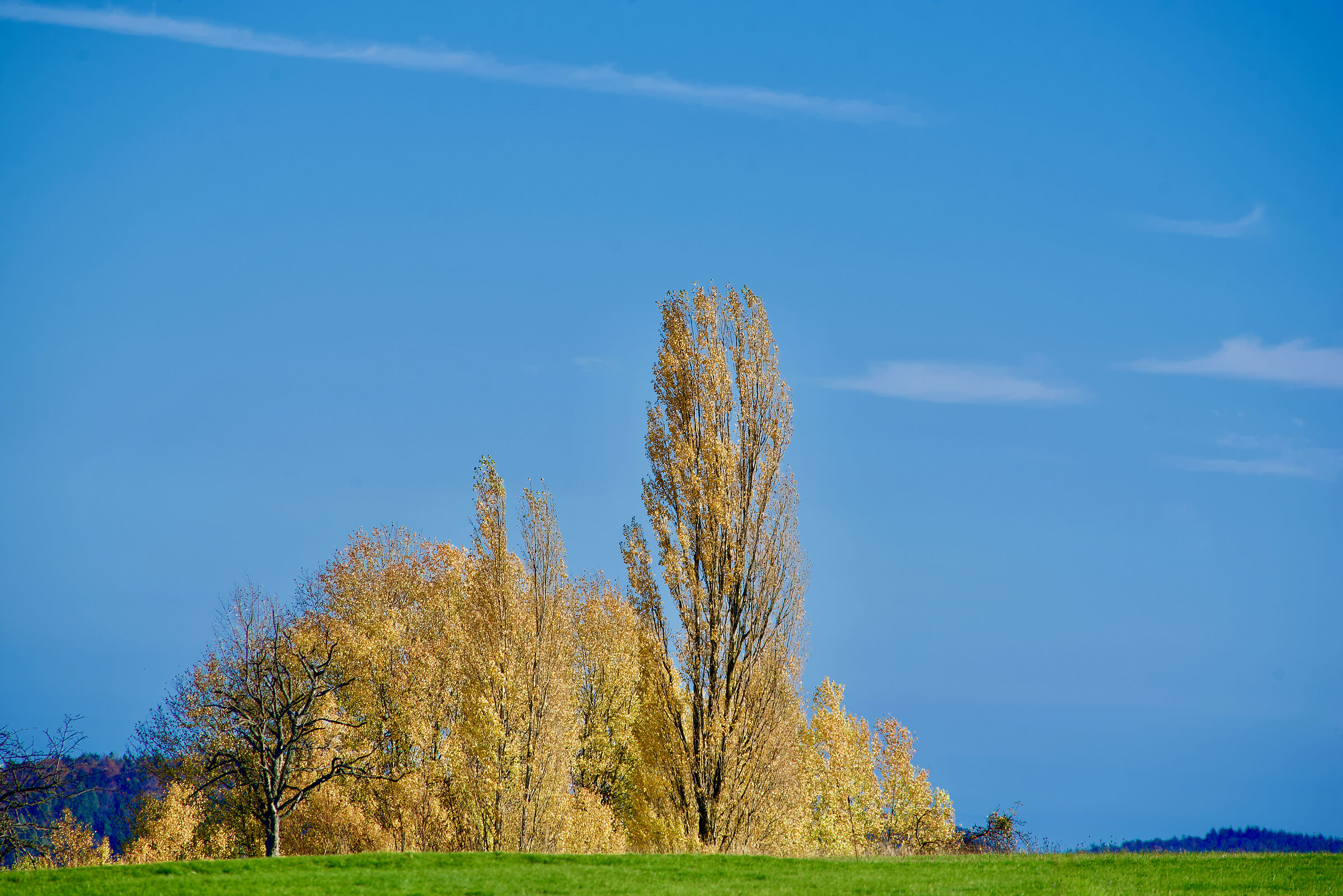 Mother Nature's Church