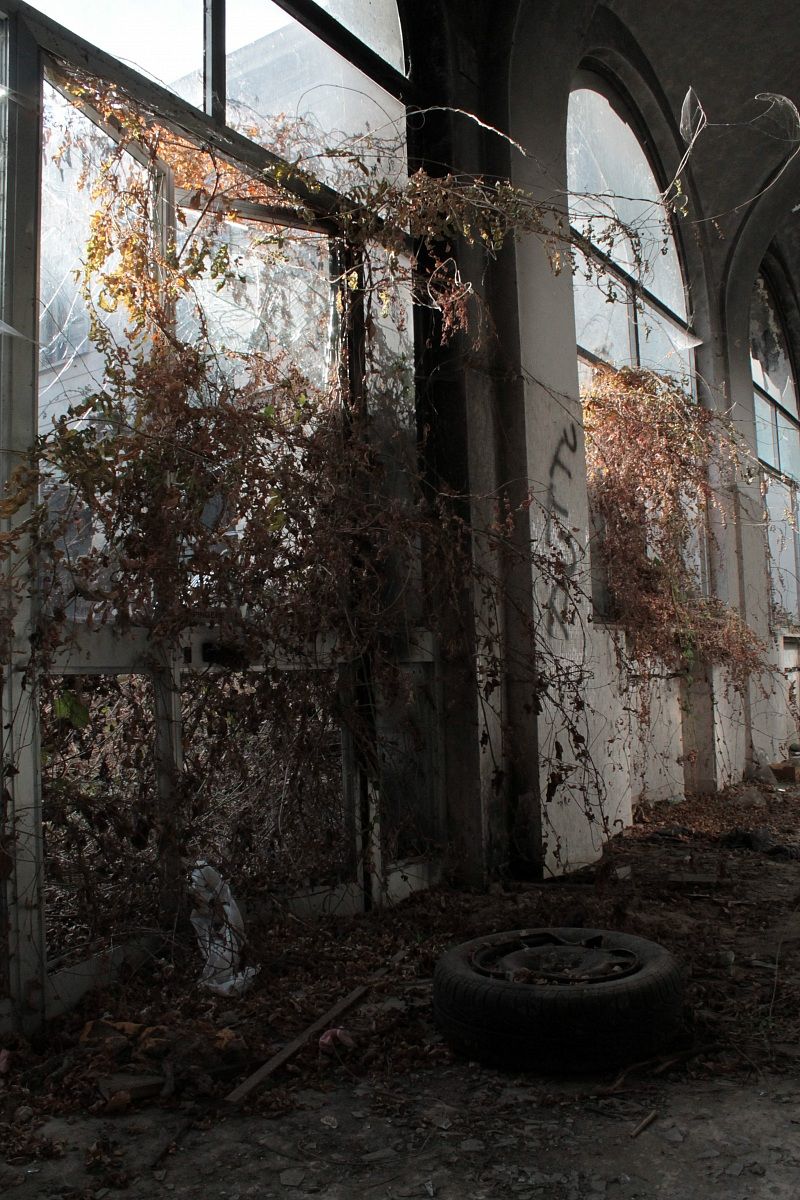 Manicomio di Mombello 92