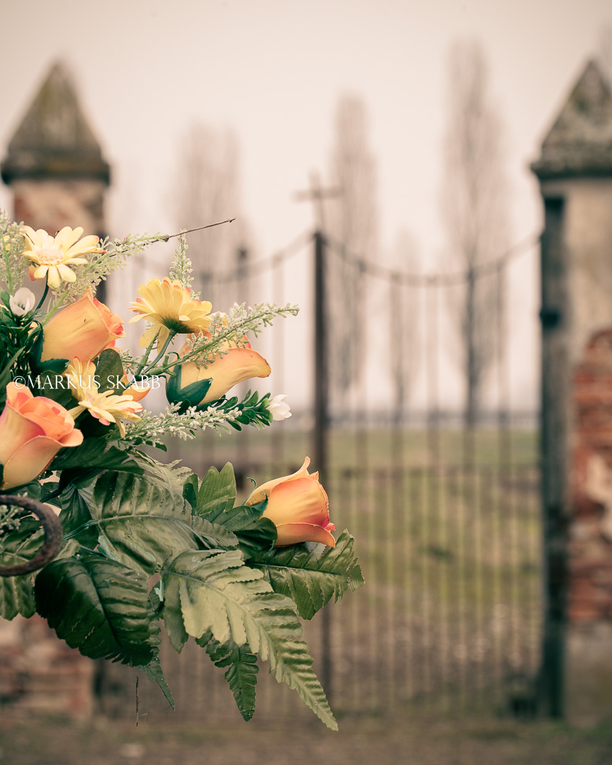 alle scogliere del nulla